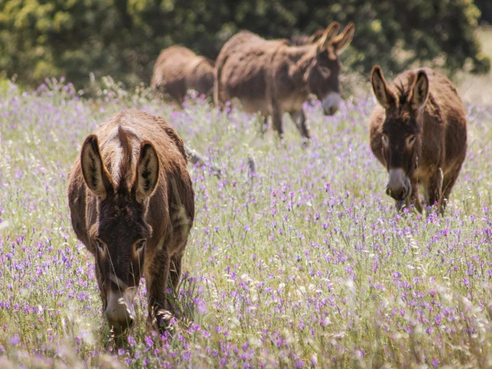 Natural landscape in Duikersdrift Winelands Country Escape