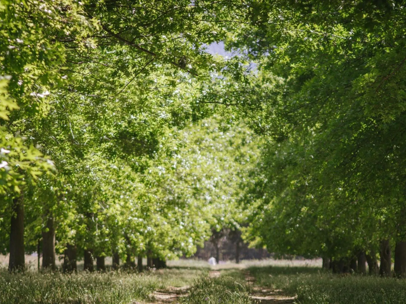 Natural landscape in Duikersdrift Winelands Country Escape