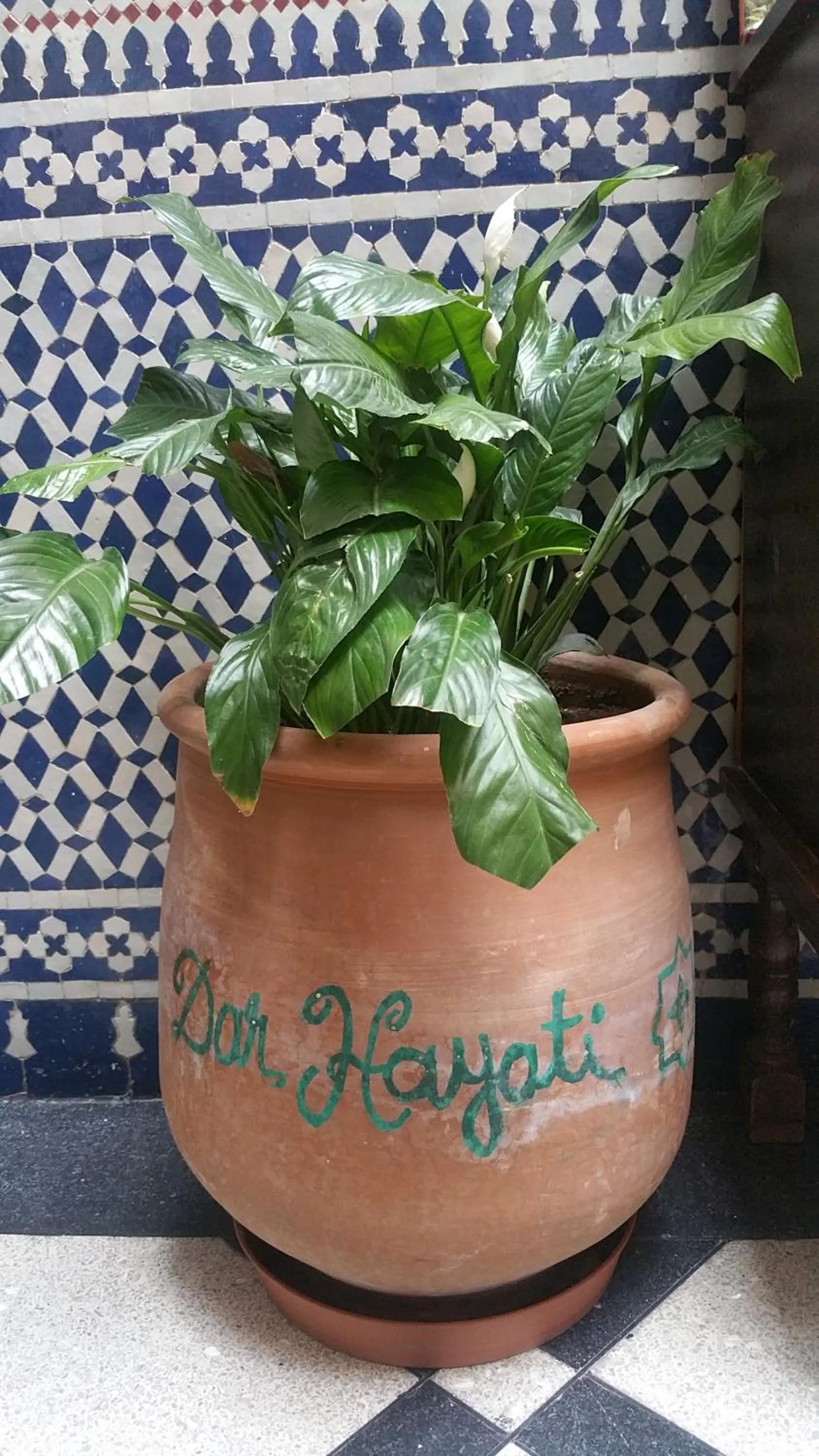 Decorative detail in Dar Hayati