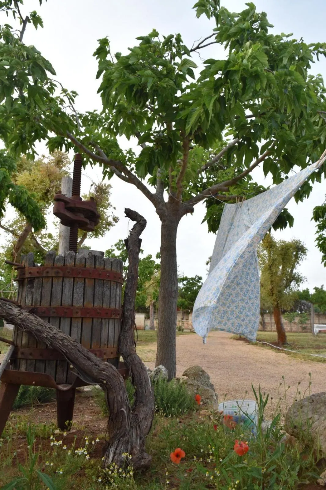 Tenuta Nonno Carmine