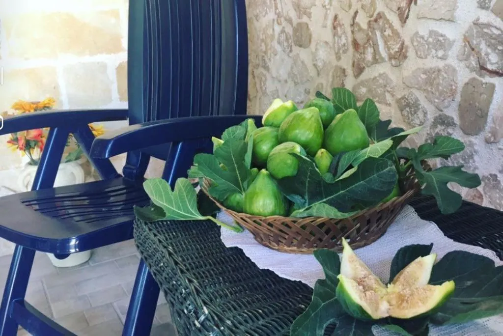 Tenuta Nonno Carmine