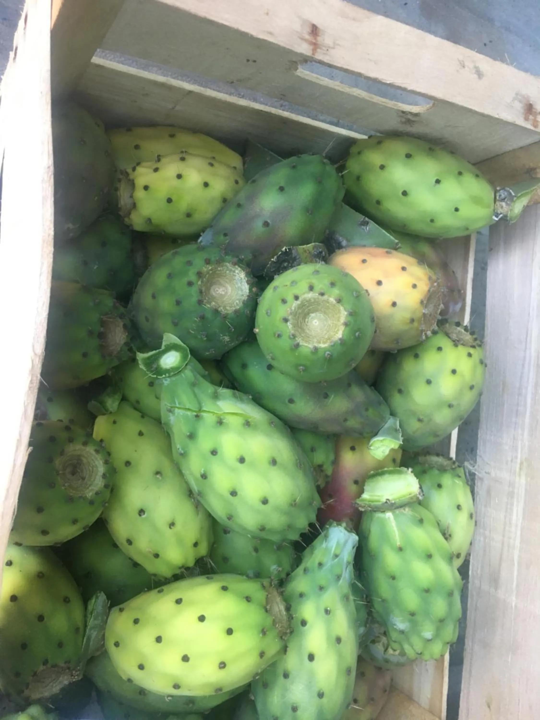 Italian breakfast in Tenuta Nonno Carmine