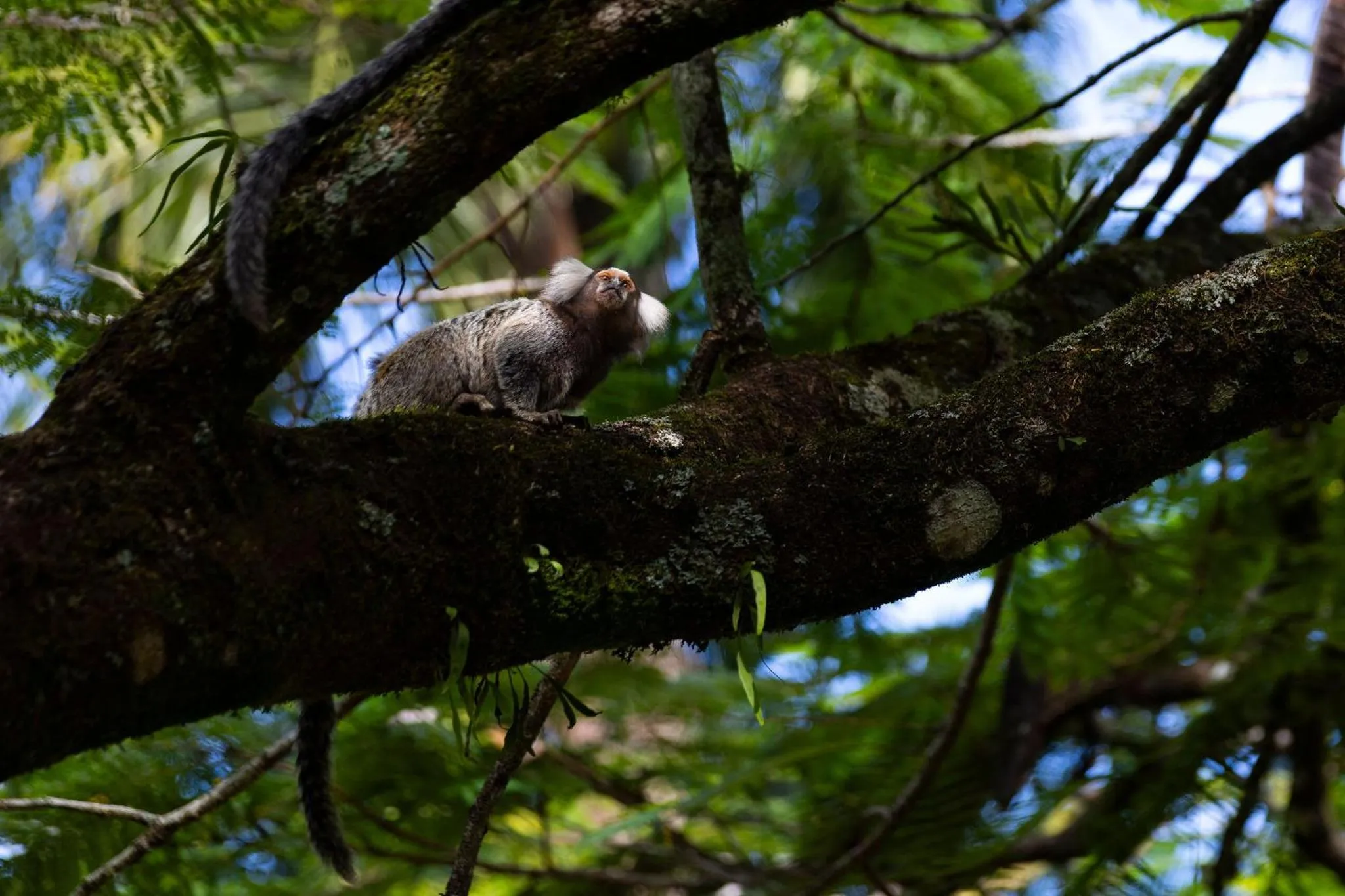Day in Casa Condominio Piccola Paraty