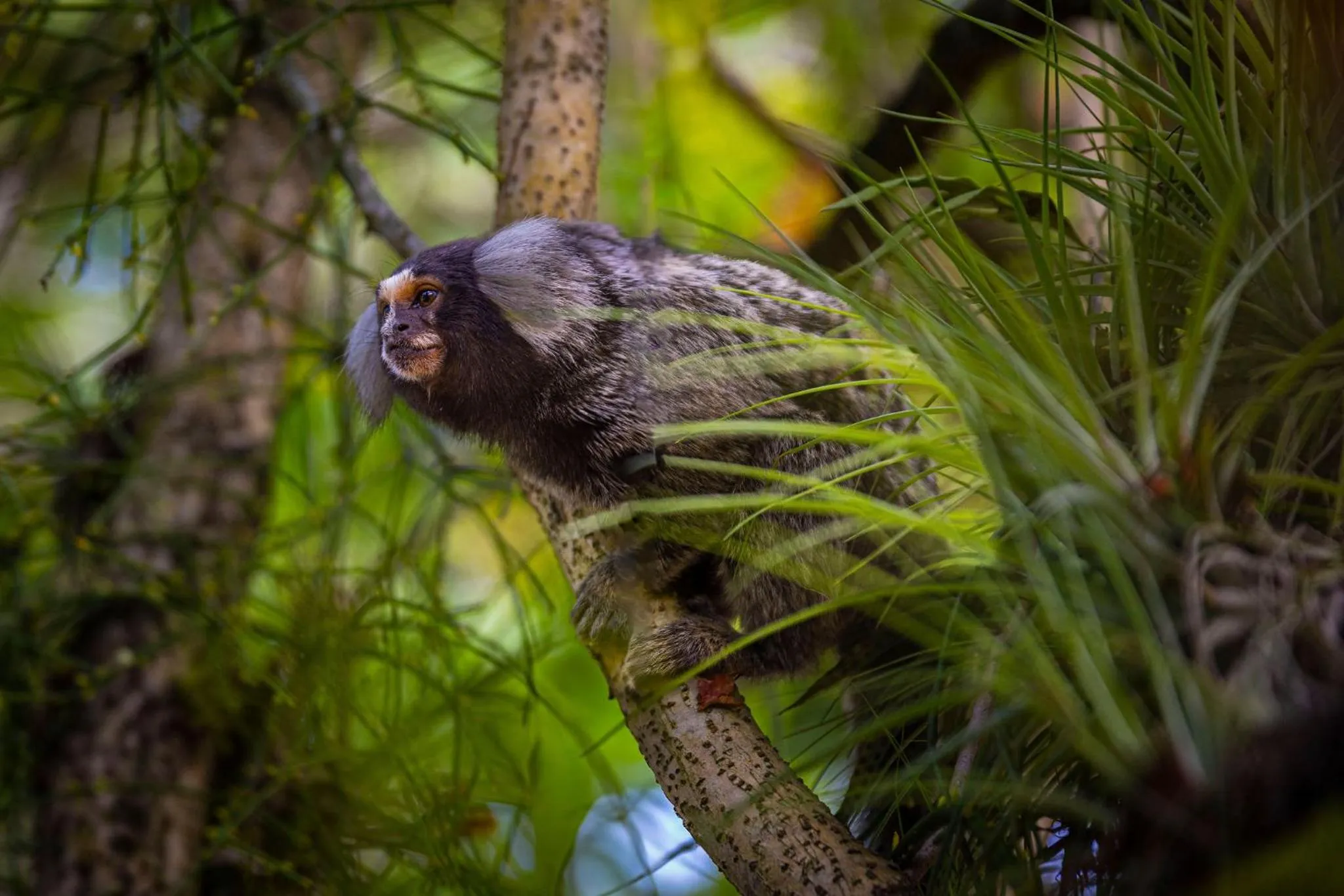 Day in Casa Condominio Piccola Paraty