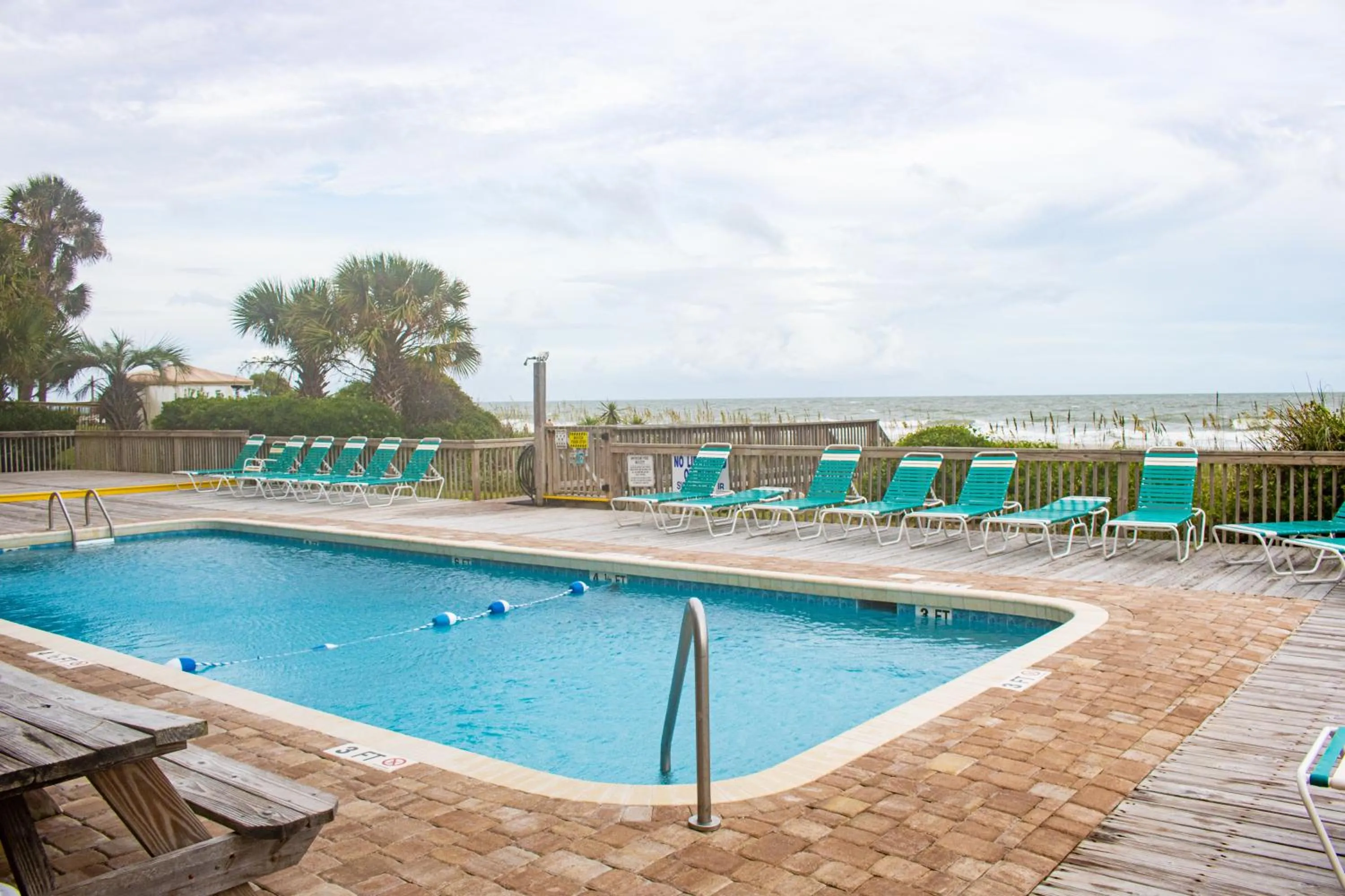 Day in Ocean Forest Colony