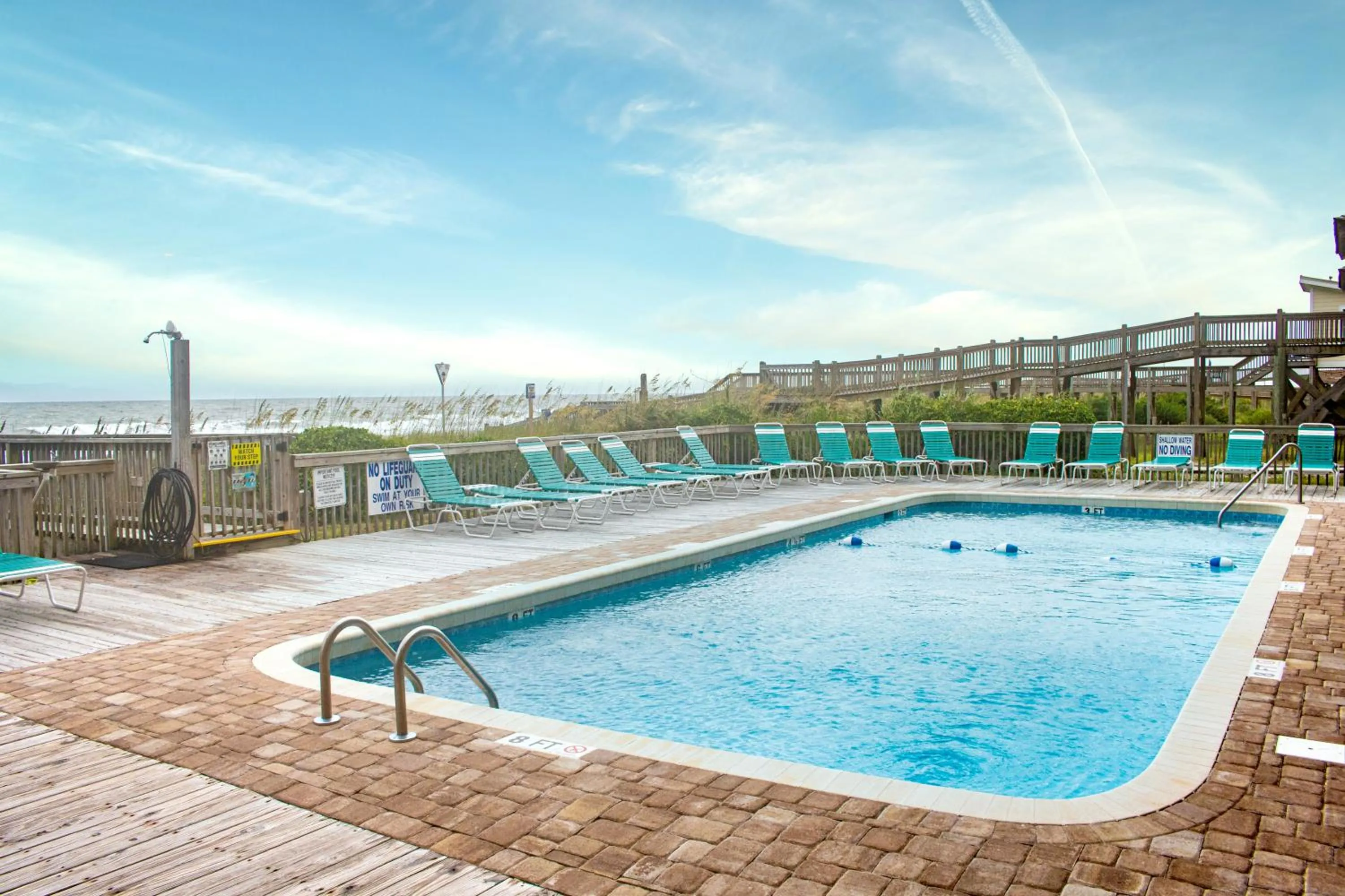 Day in Ocean Forest Colony