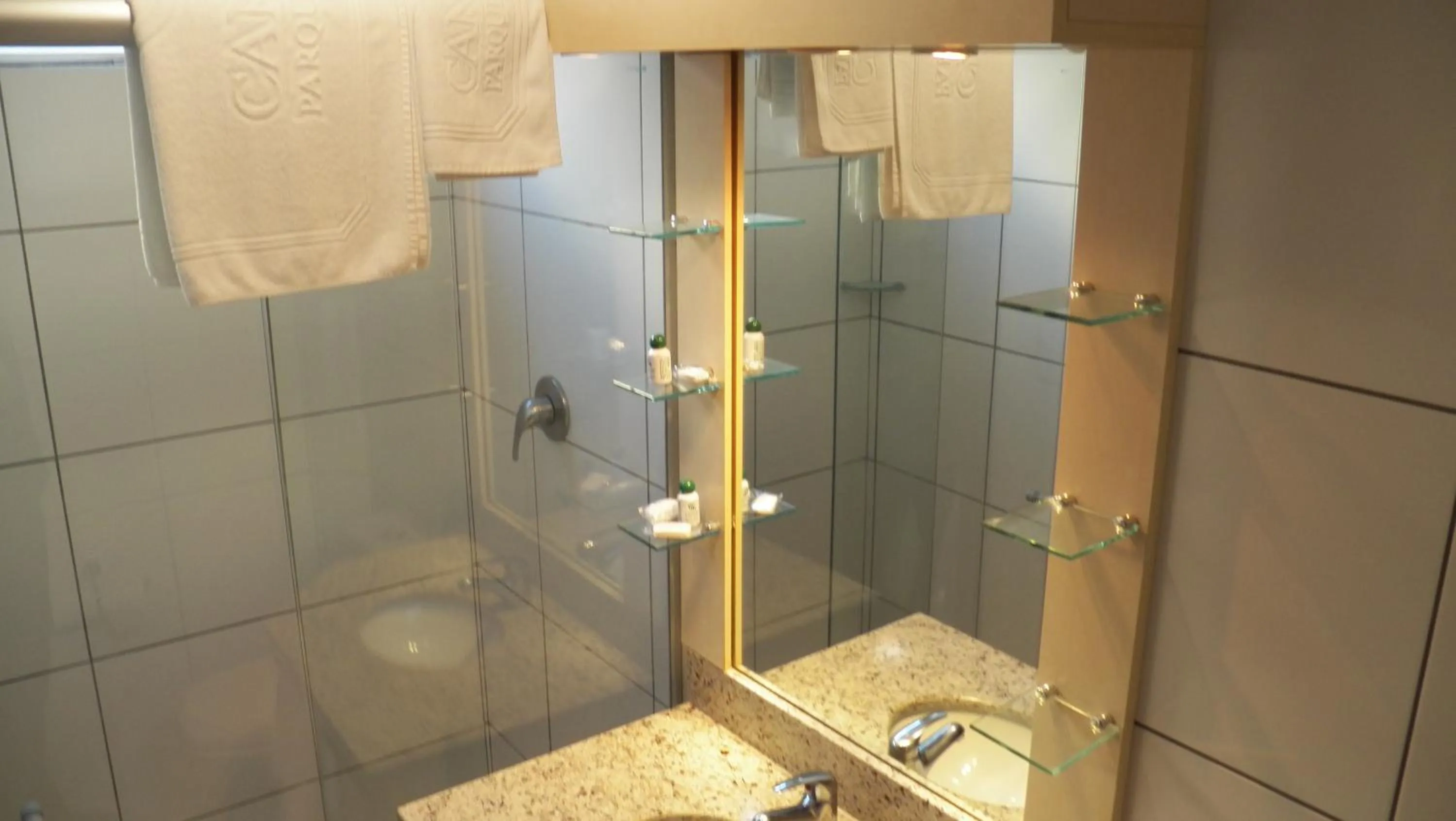 Economy Room with One Double Bed in Canoas Parque Hotel