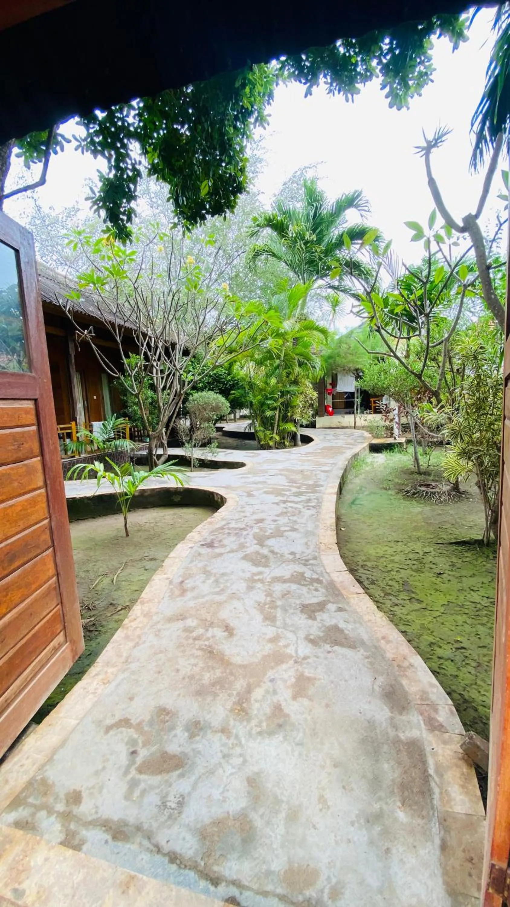 Garden view in Balenta Bungalow Gili Trawangan