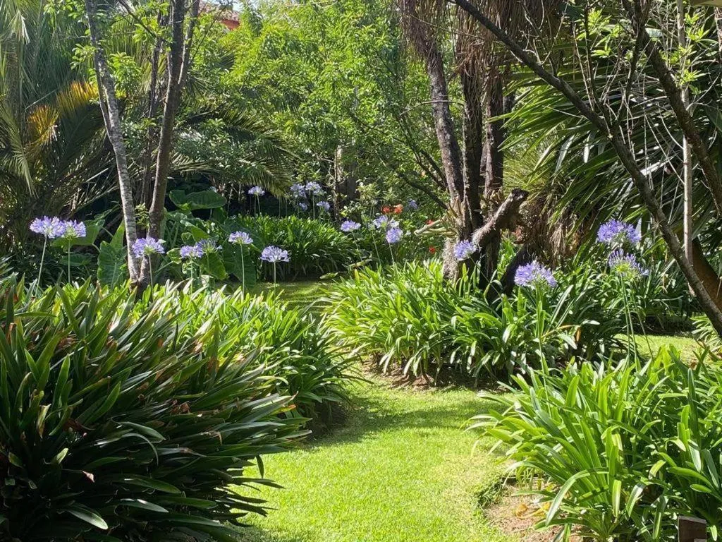 Natural landscape in Hotel Casa de Familia de San Cristobal