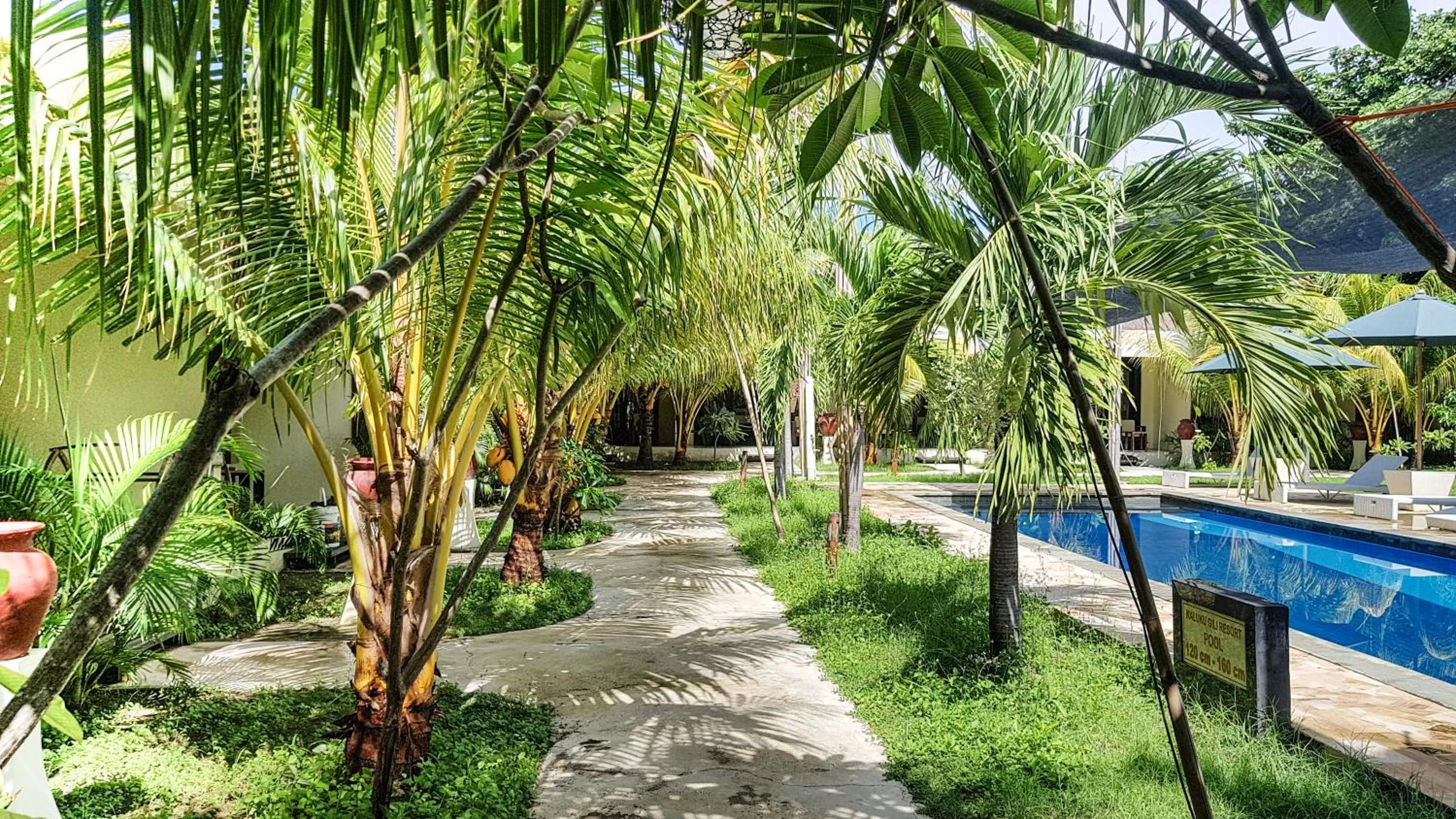 Garden in Kaluku Gili Resort
