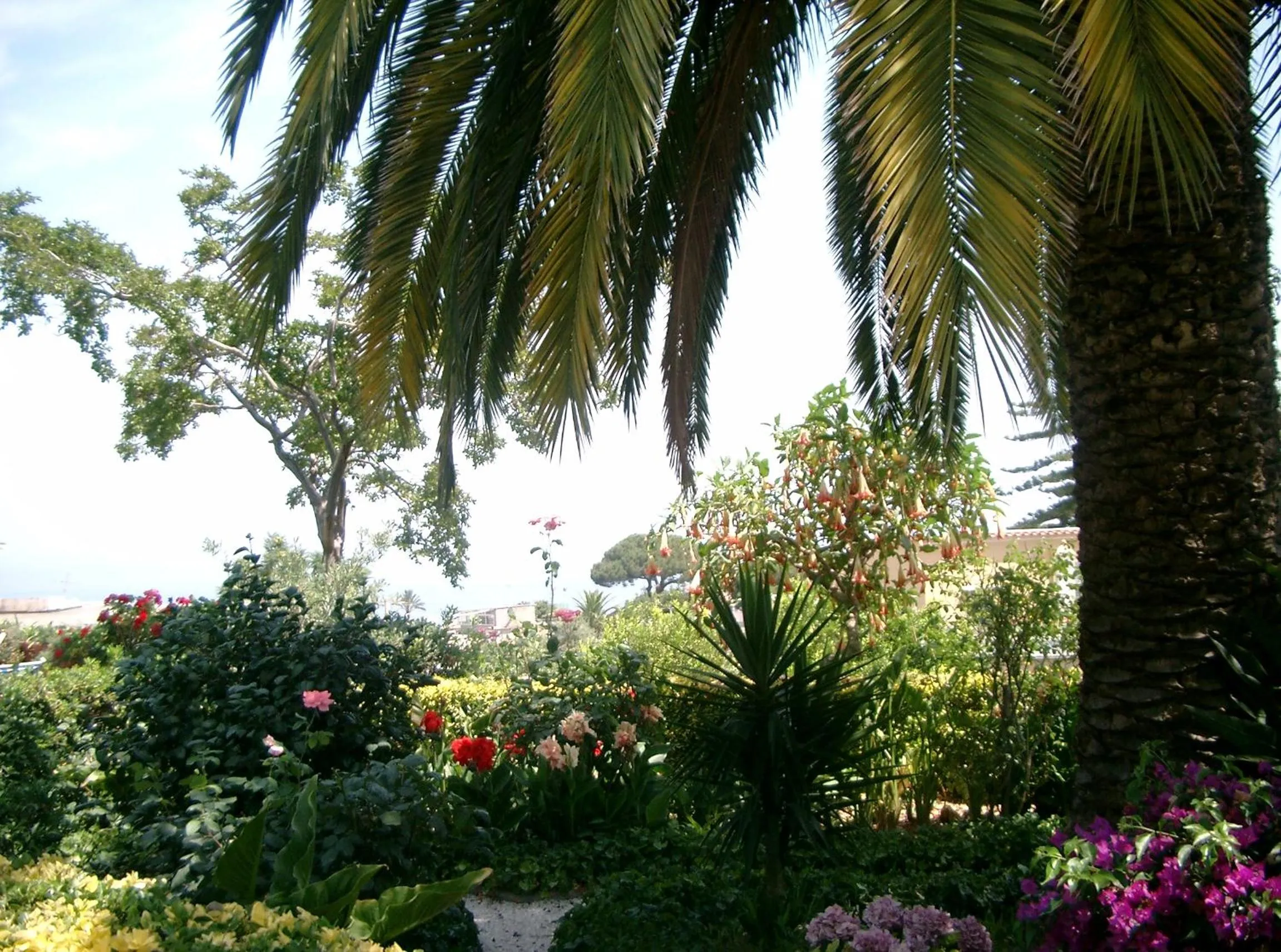 Natural landscape in Hotel & Residence Matarese