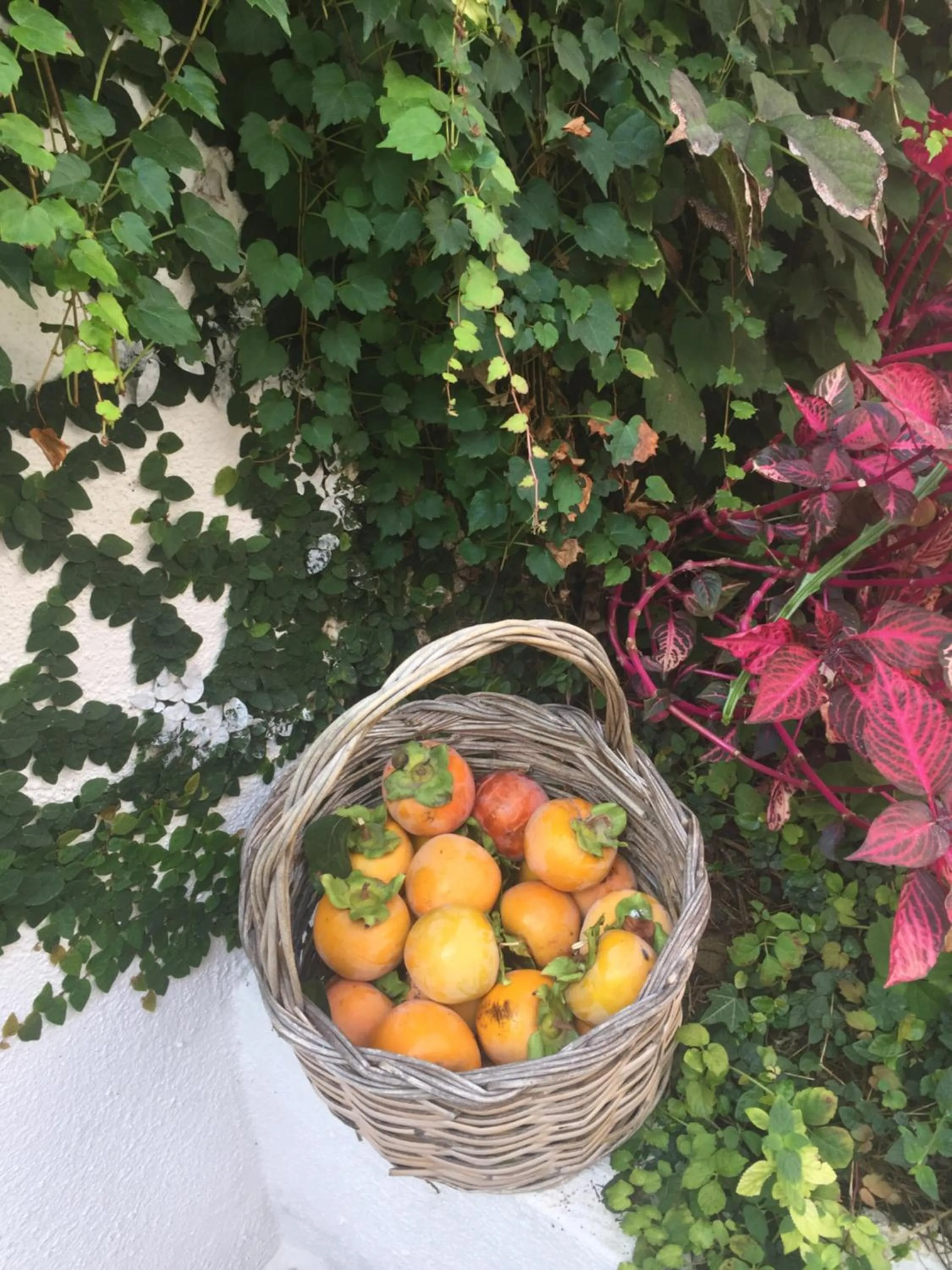 Hotel & Residence Matarese