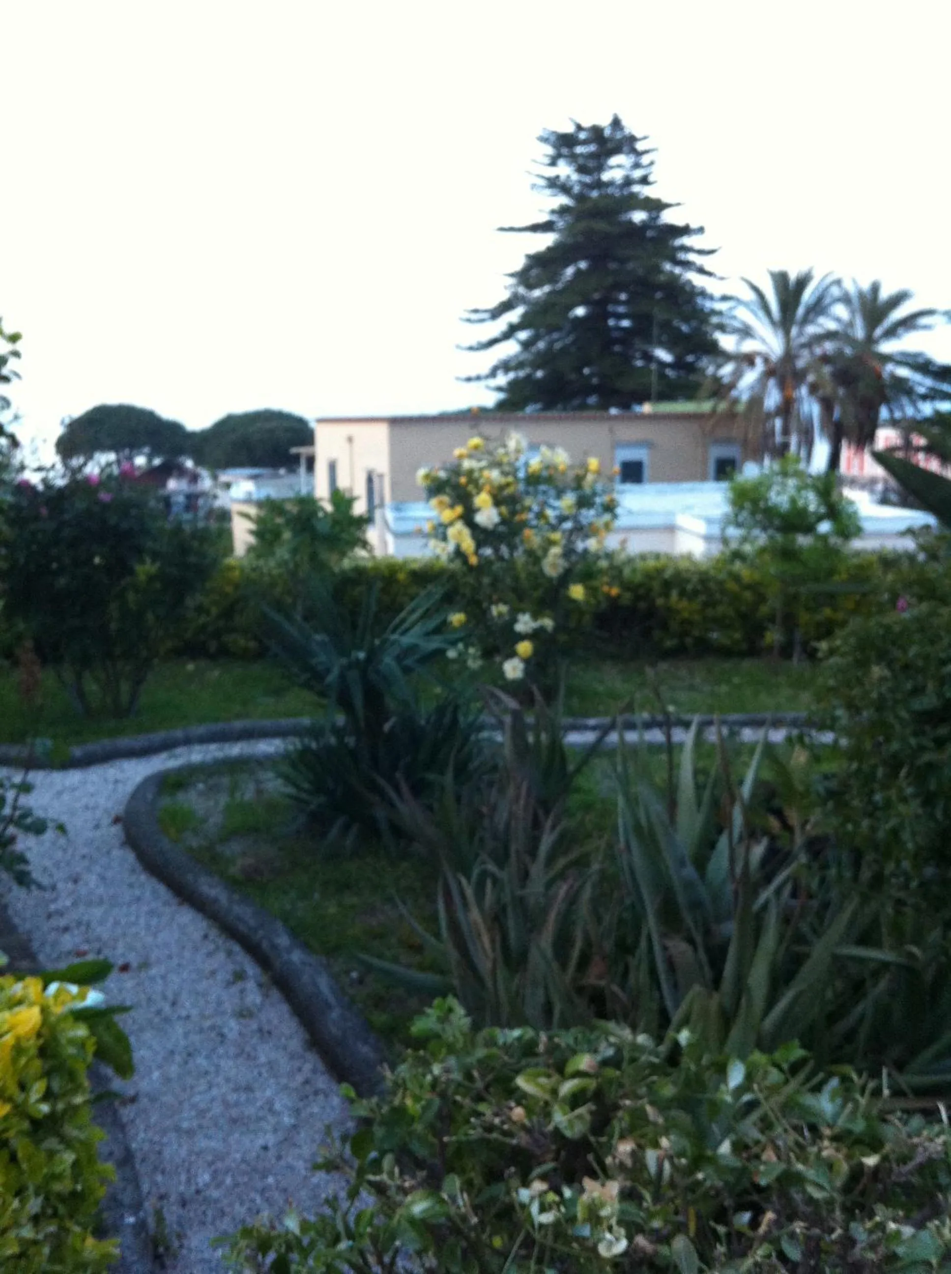 Garden in Hotel & Residence Matarese