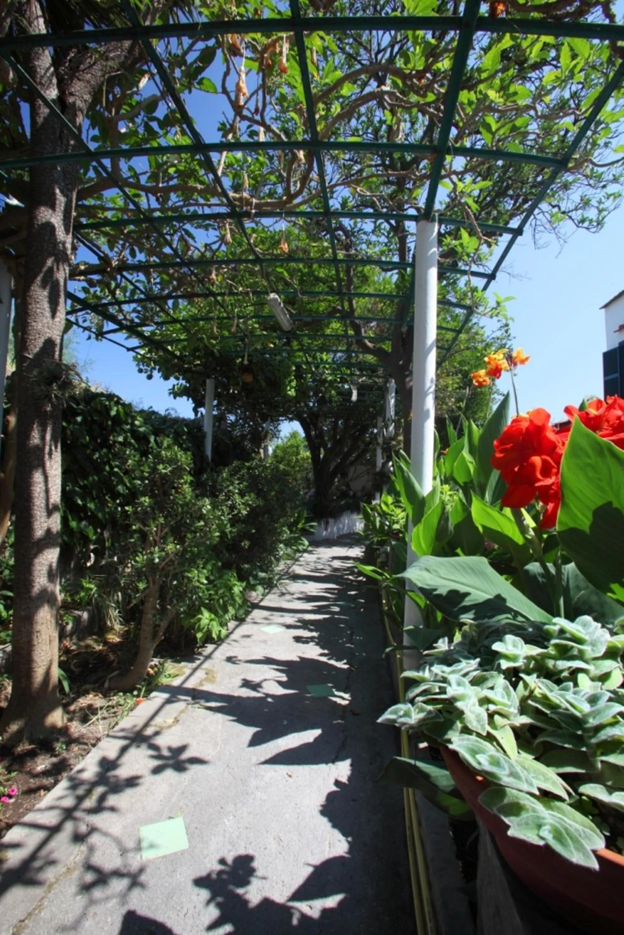 Garden in Hotel & Residence Matarese