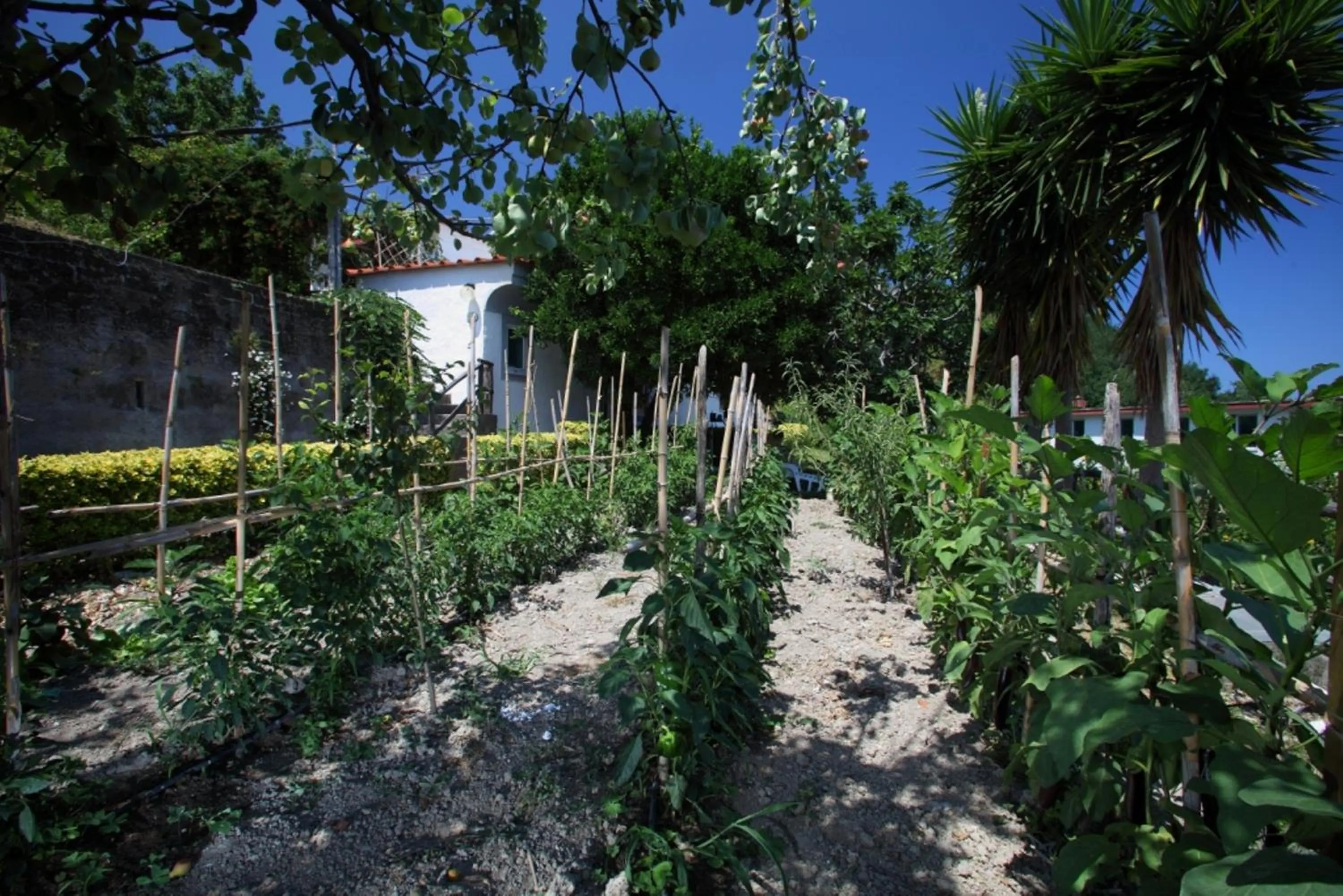 Garden in Hotel & Residence Matarese