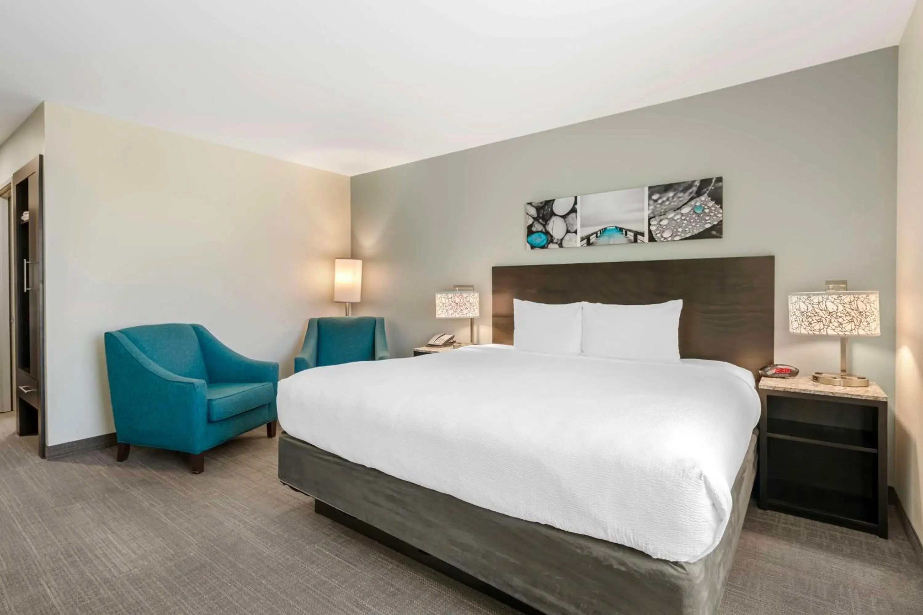 King Room with Mobility Accessible Roll-In Shower in Magnolia Pointe; BW Signature Collection King Room with Mobility Accessible Roll-In Shower in Magnolia Pointe; BW Signature Collection