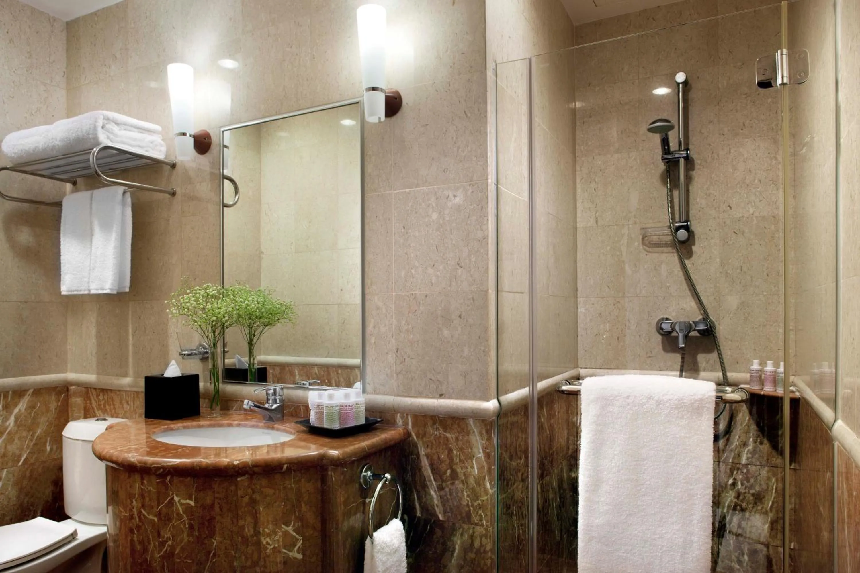 Toilet in Fraser Place Robertson Walk Singapore