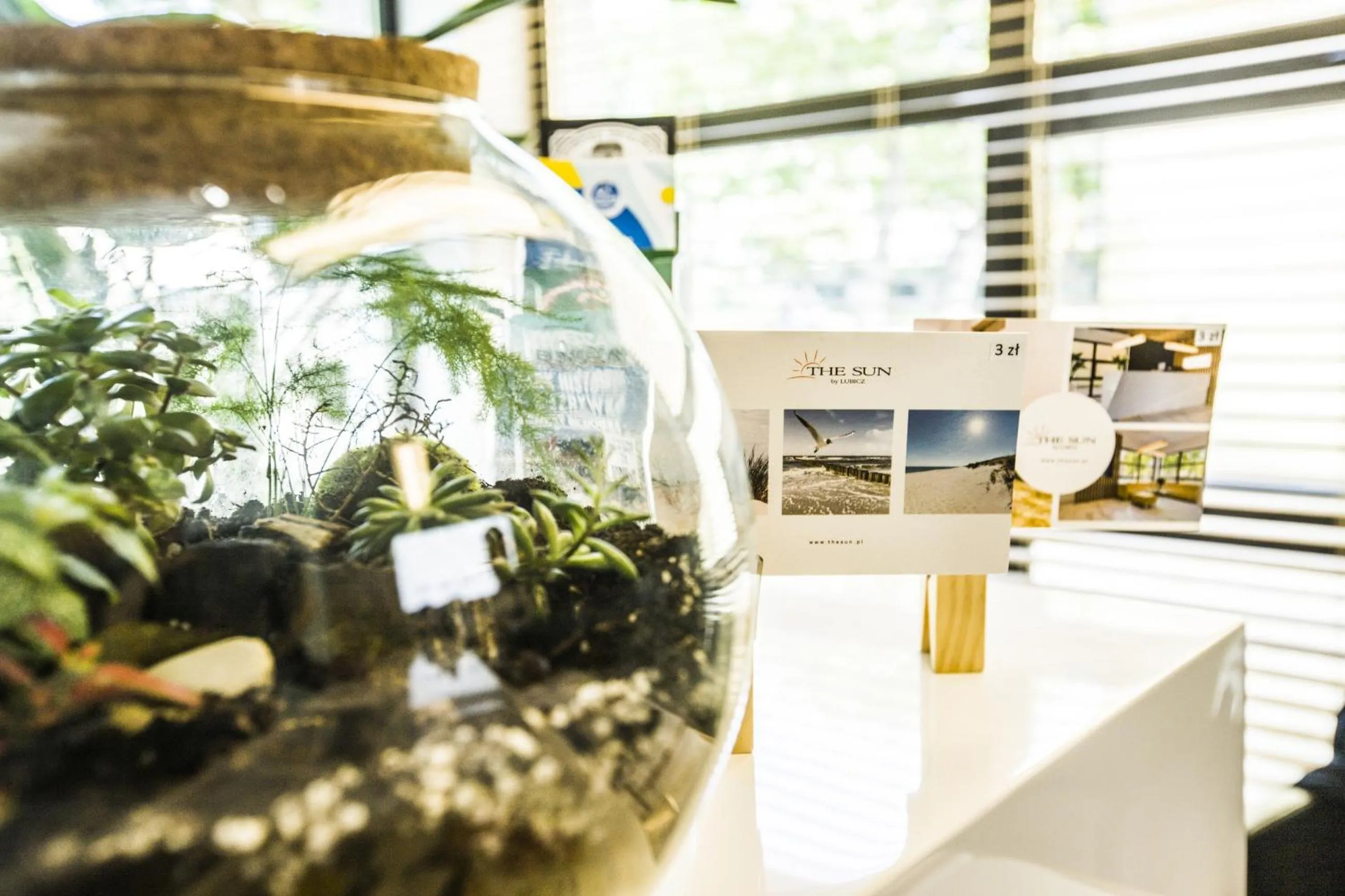 Decorative detail in The Sun by Lubicz