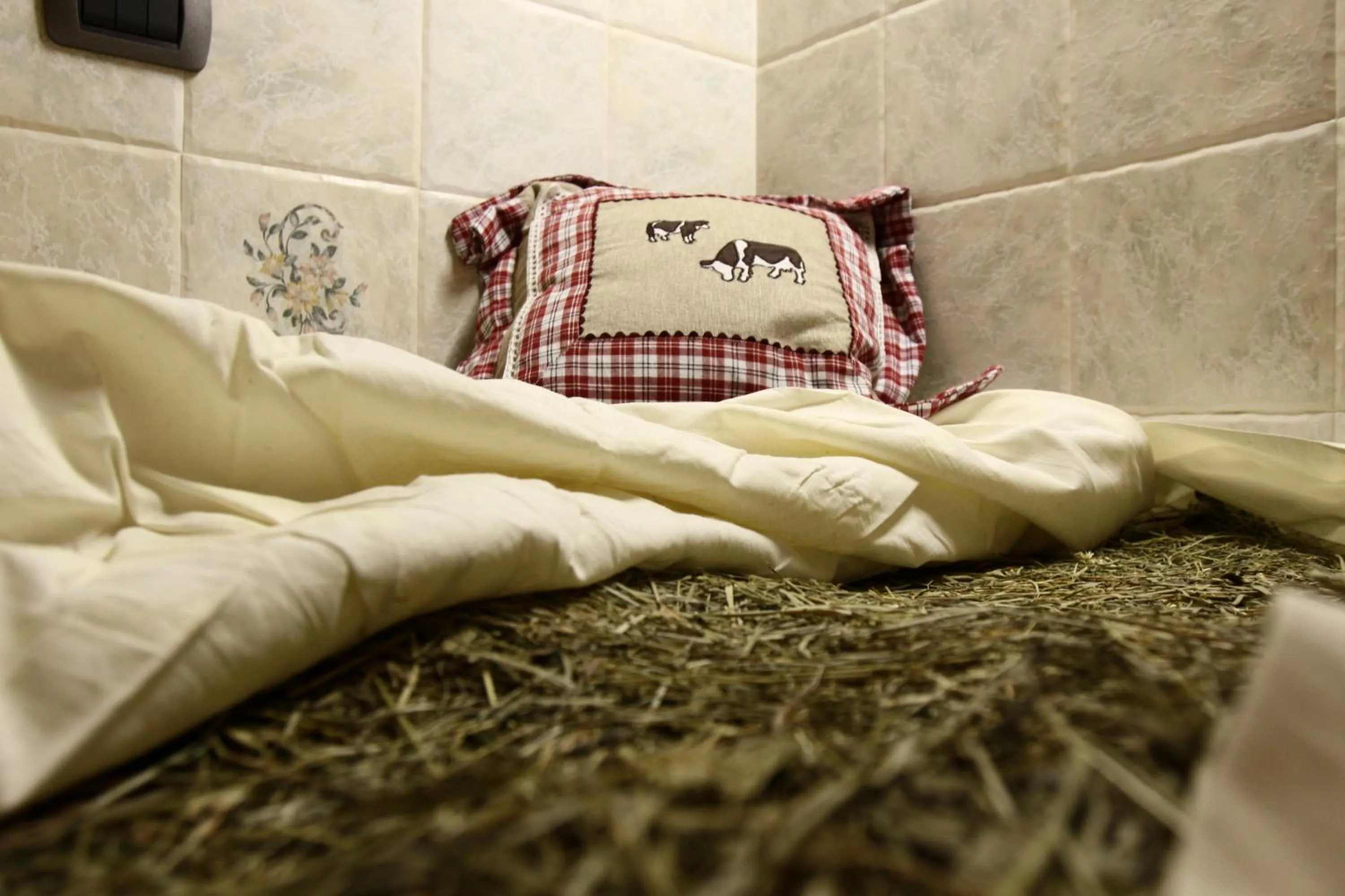 Fitness centre/facilities, Bed in Albergo Boule de Neige