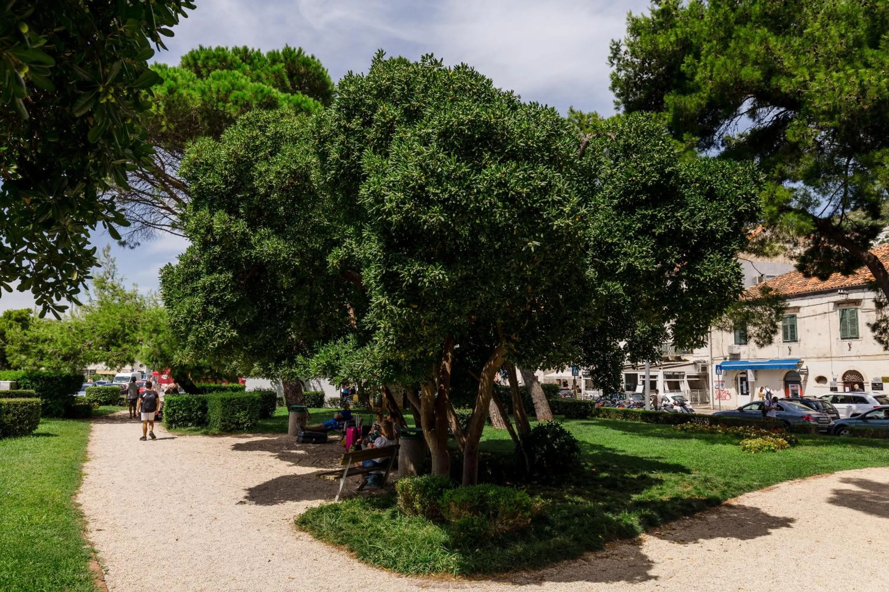Bird's eye view in Rooms Edna
