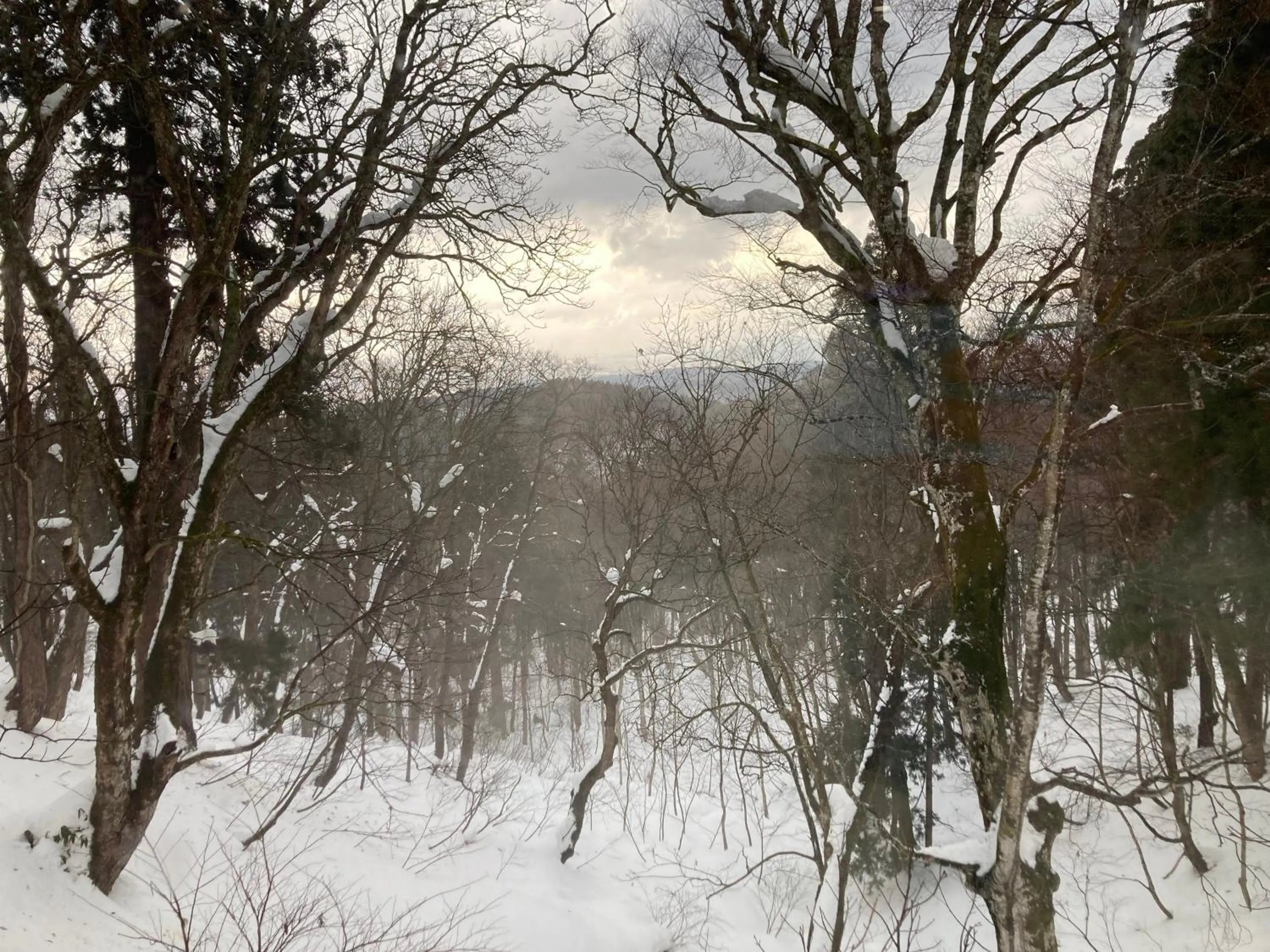 Neighbourhood in Shonai Hotel Suiden Terrasse