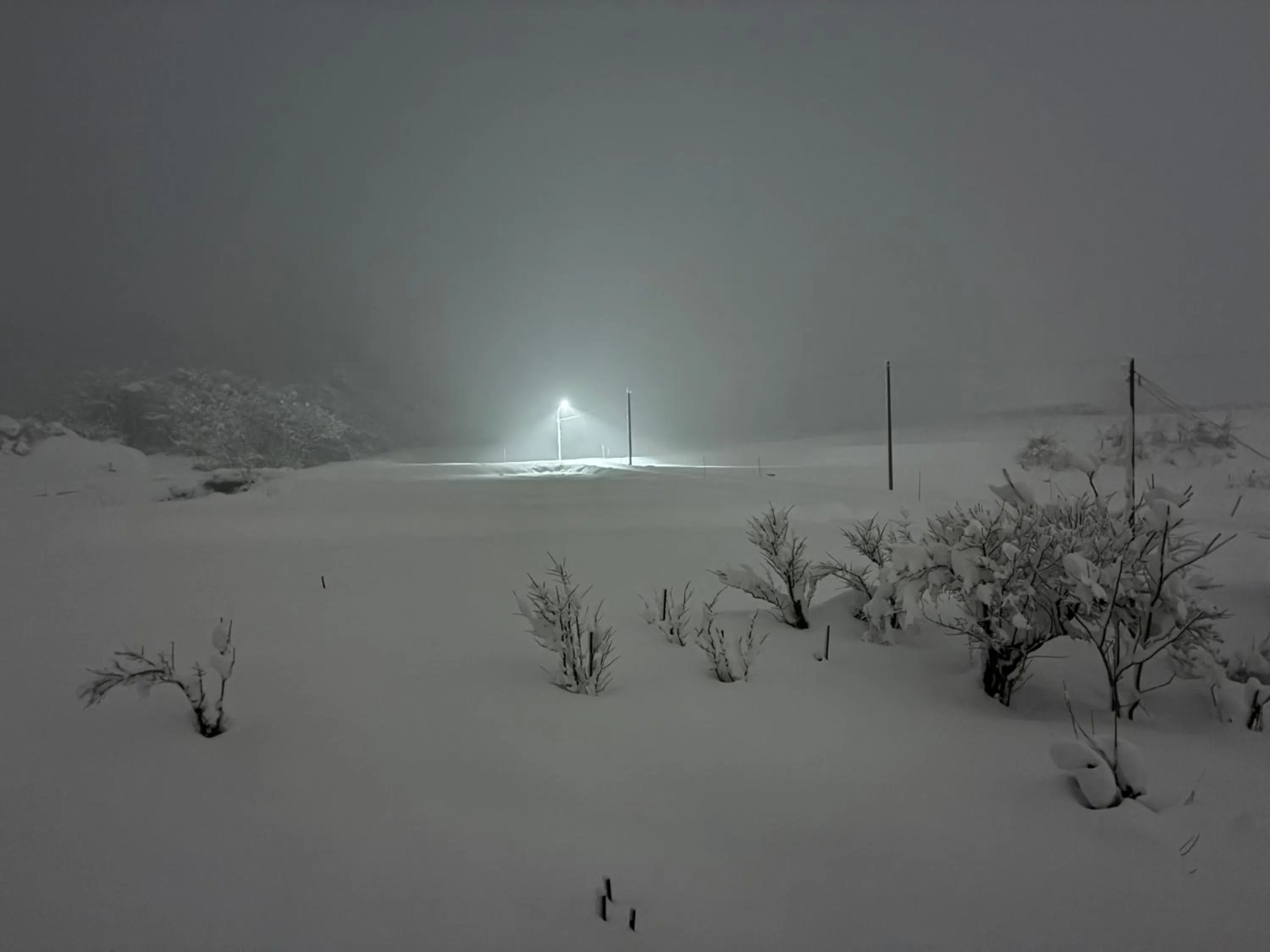 Neighbourhood in Shonai Hotel Suiden Terrasse