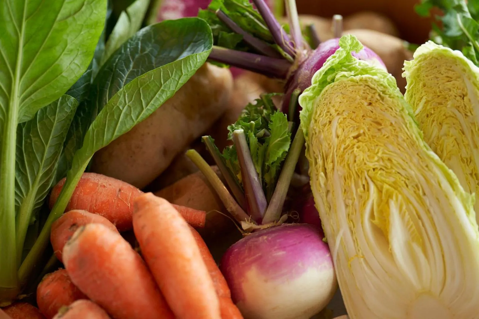 Buffet breakfast in Shonai Hotel Suiden Terrasse
