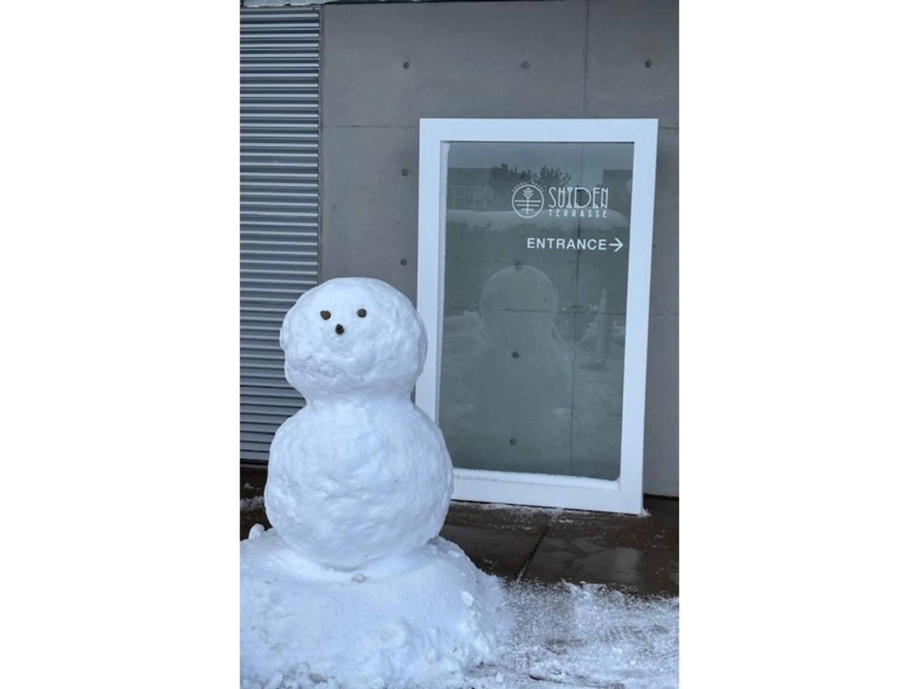 Property building in Shonai Hotel Suiden Terrasse