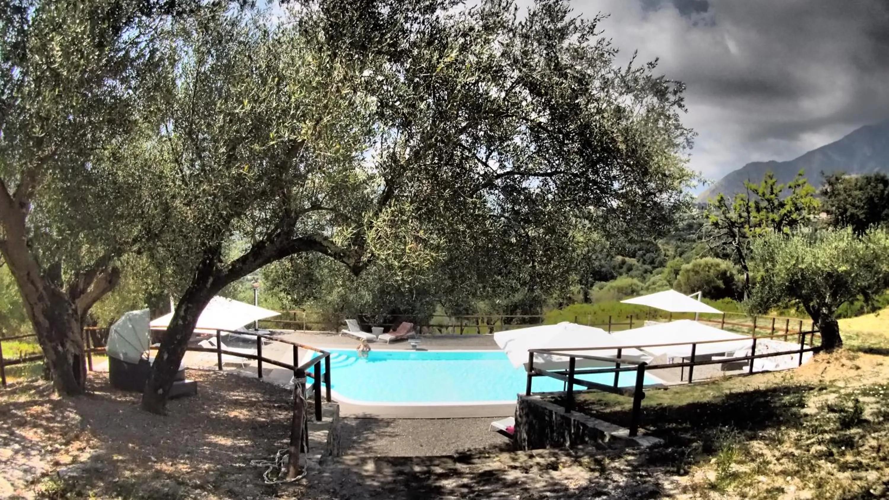 Pool view in Tenuta Terre di Bosco Oasi di Relax nel Cilento