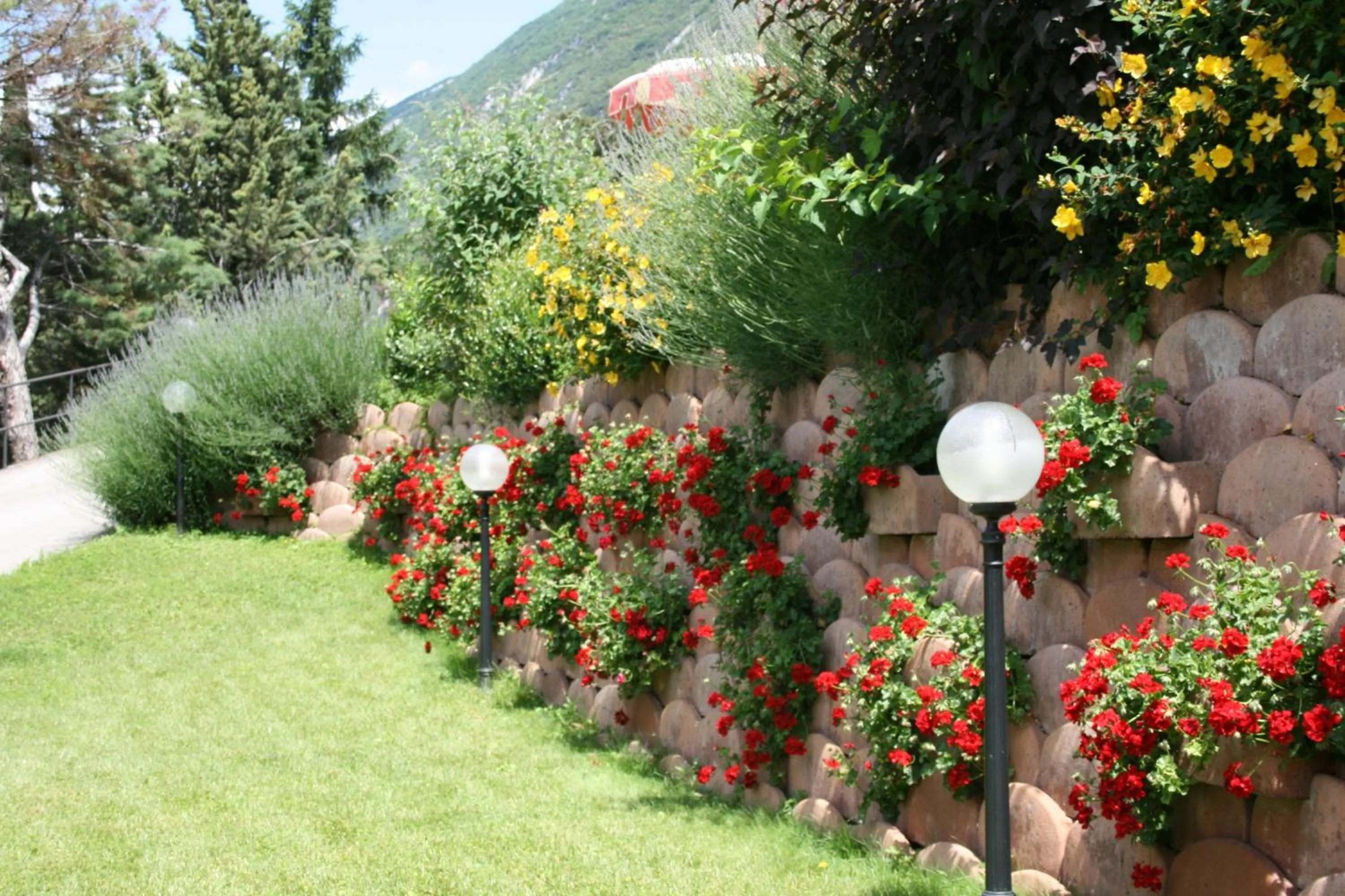 Garden in Hotel Oasi Beach