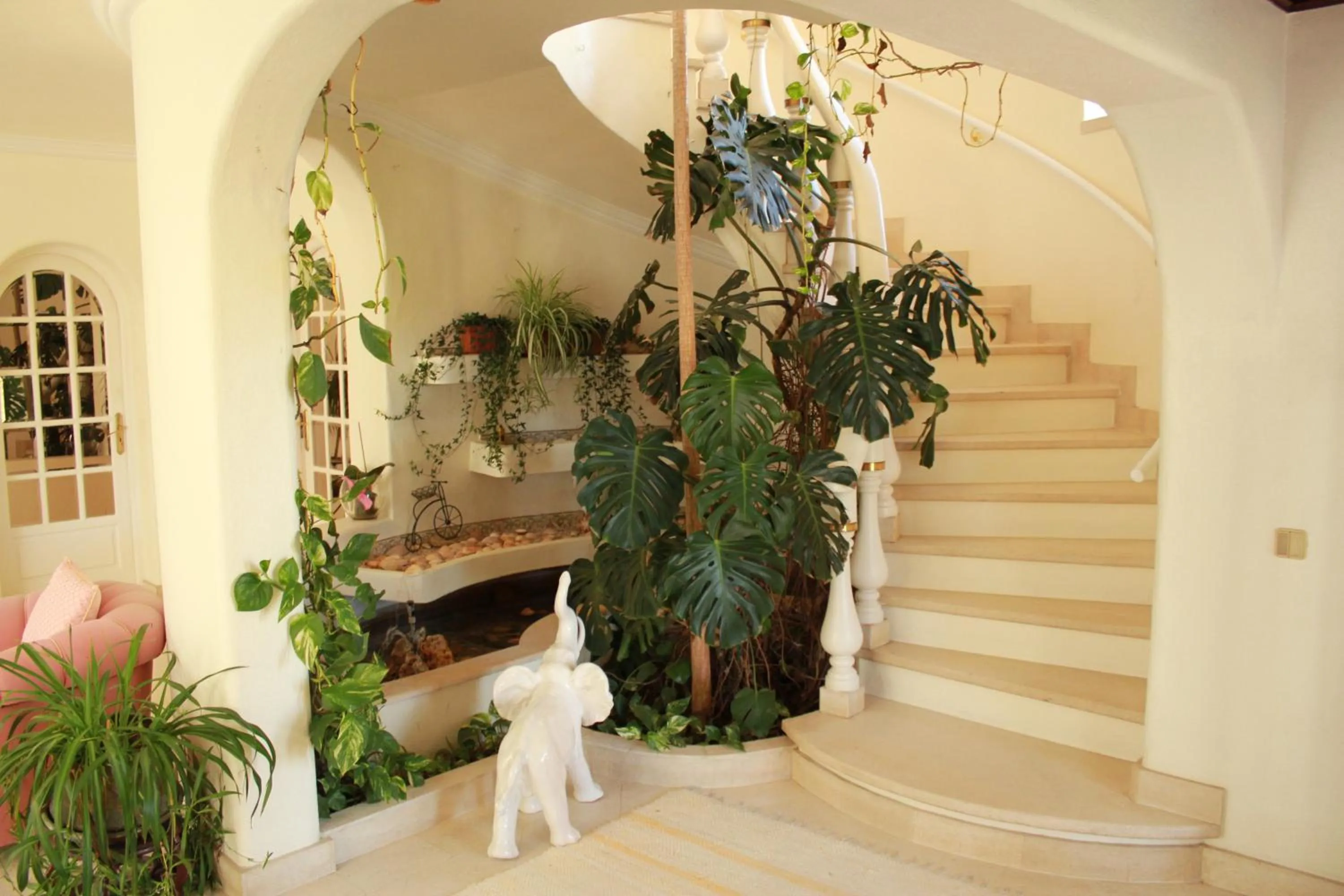 Area and facilities in Quinta dos Oliveiras