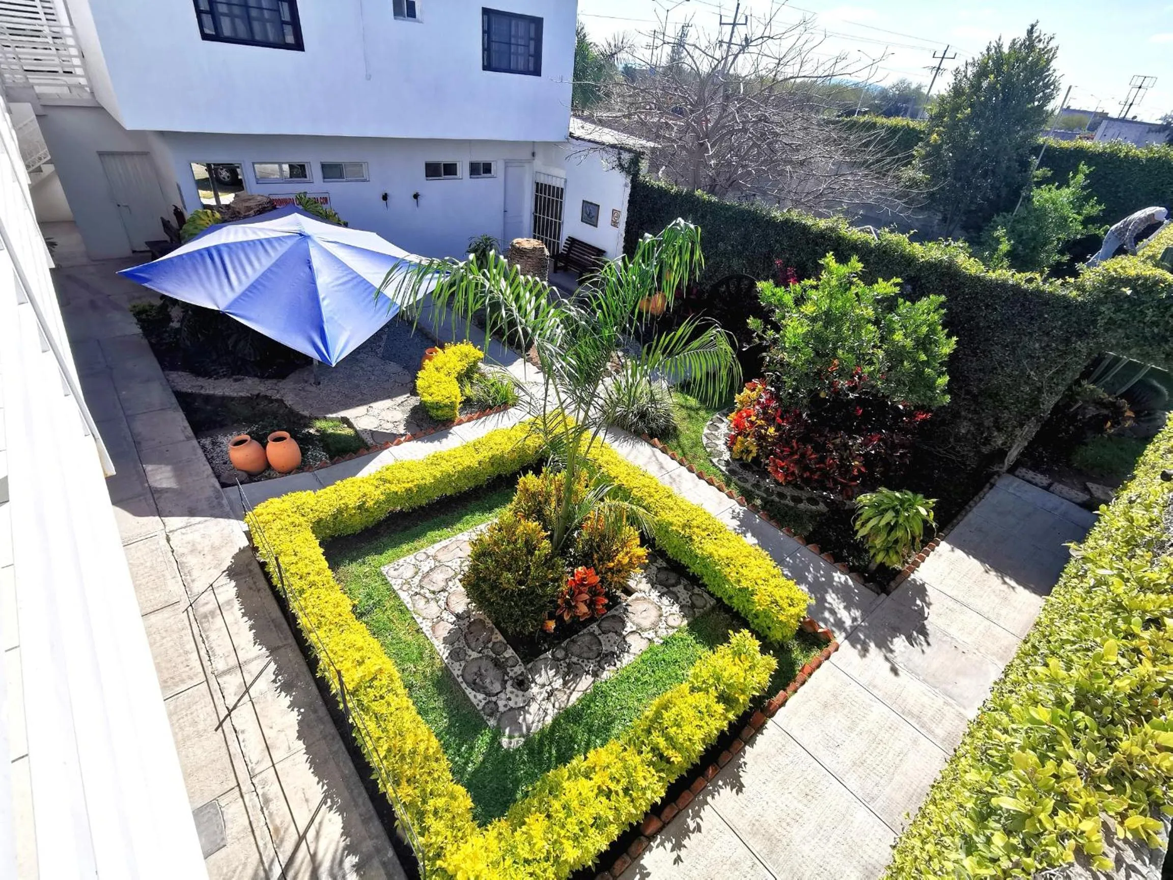 Garden in Hotel La Estancia