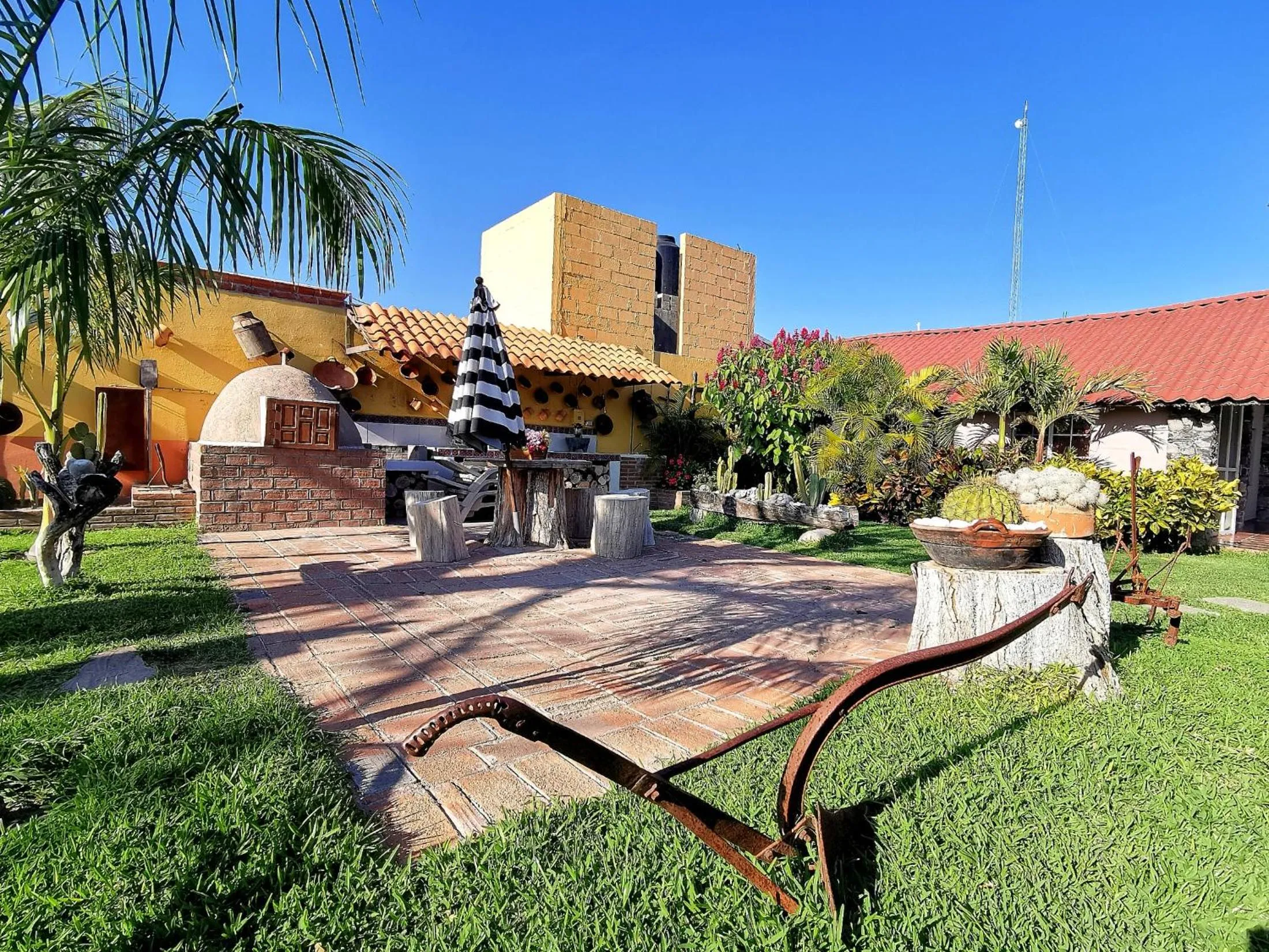 Garden in Hotel La Estancia