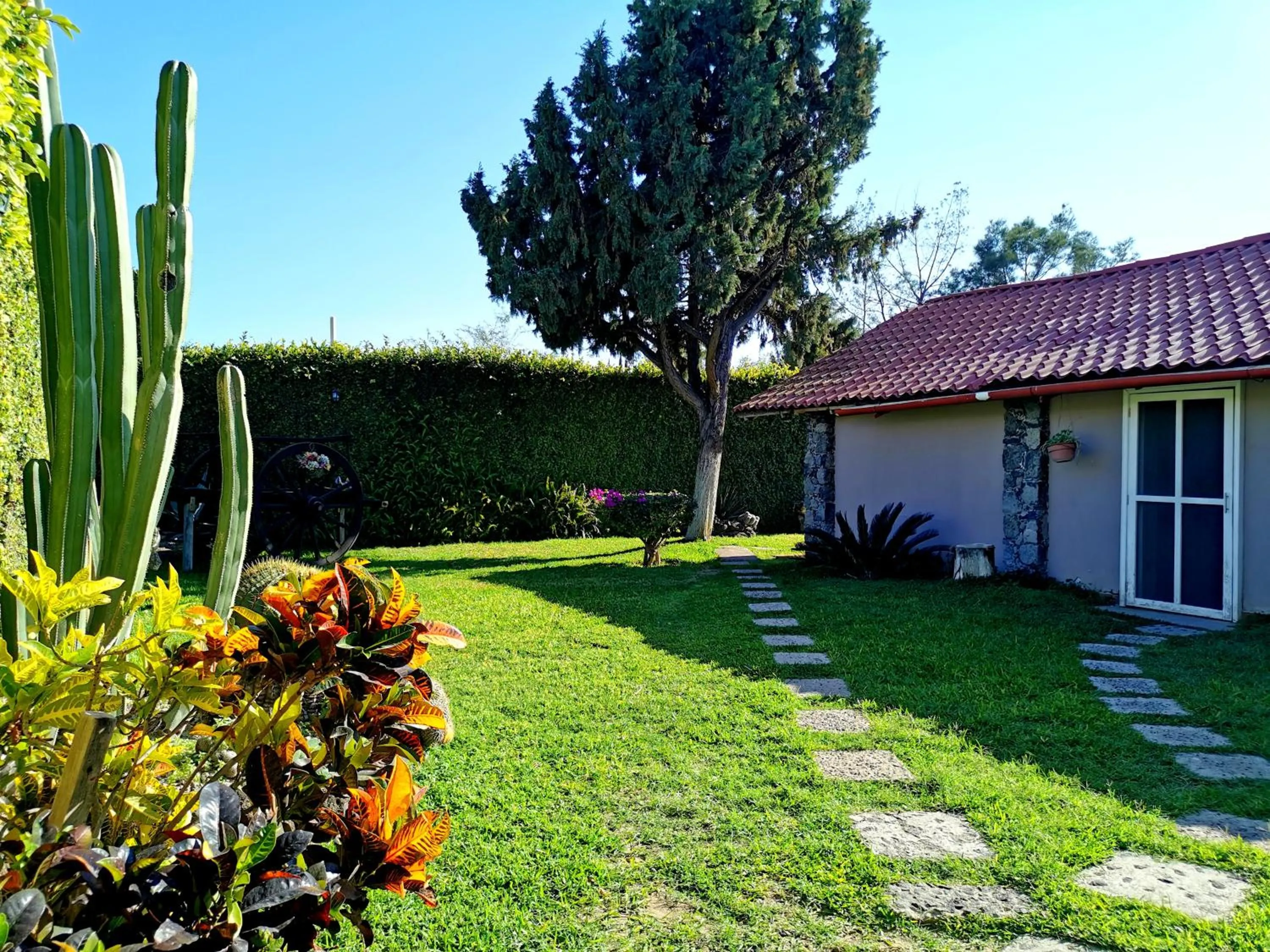 Garden in Hotel La Estancia