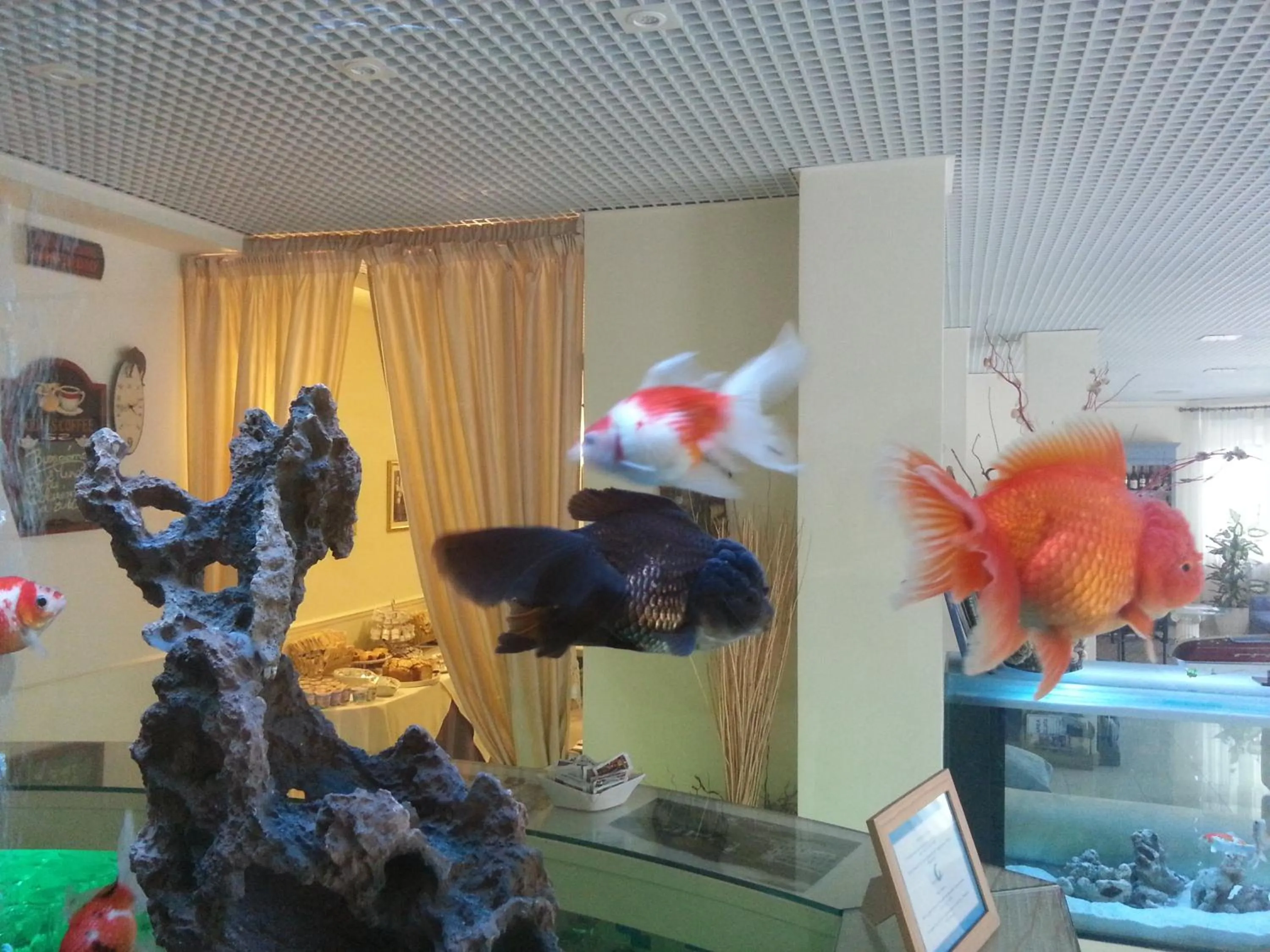 Decorative detail in Hotel Il Gatto