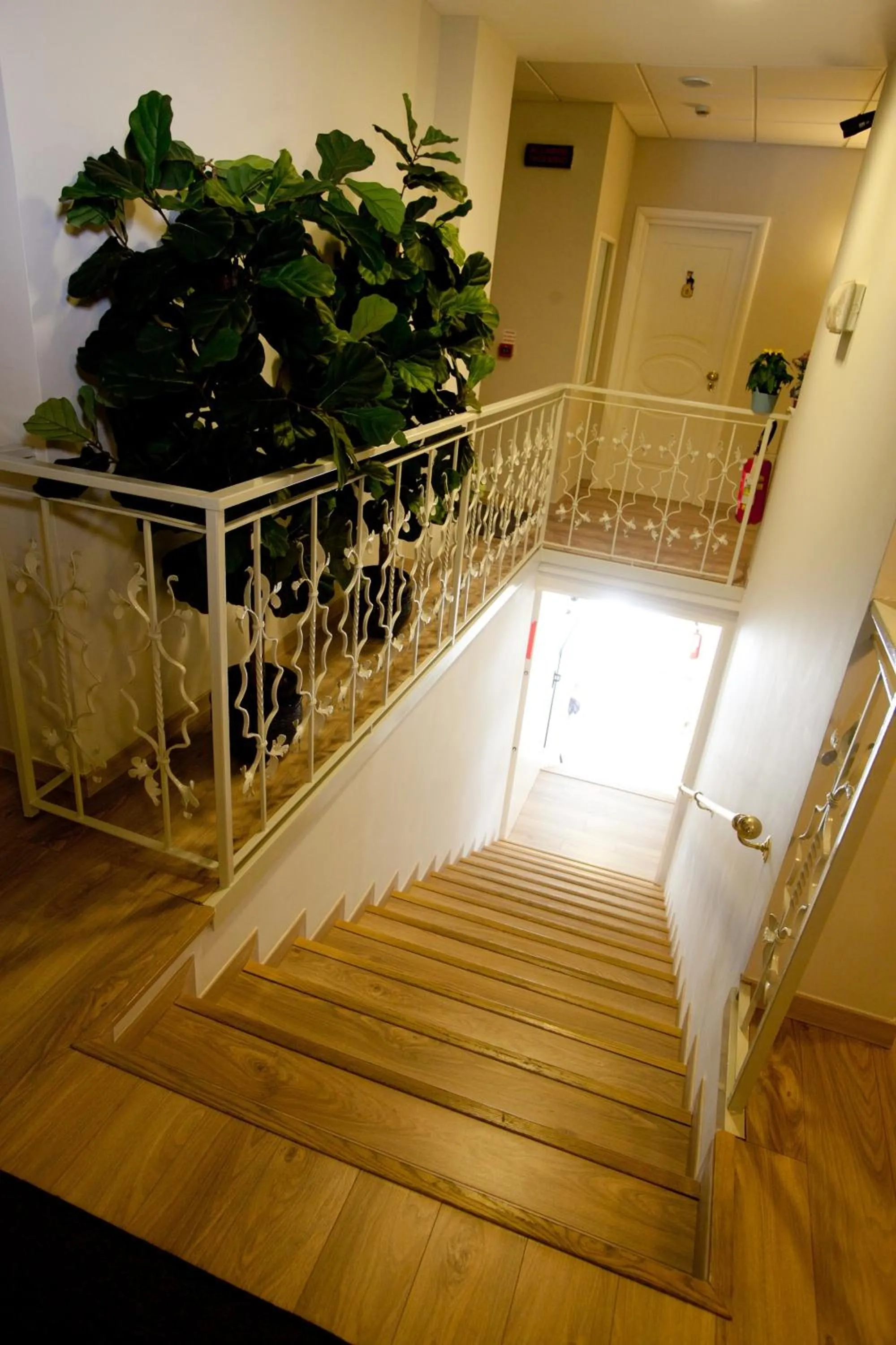 Communal lounge/ TV room in Hotel Il Gatto