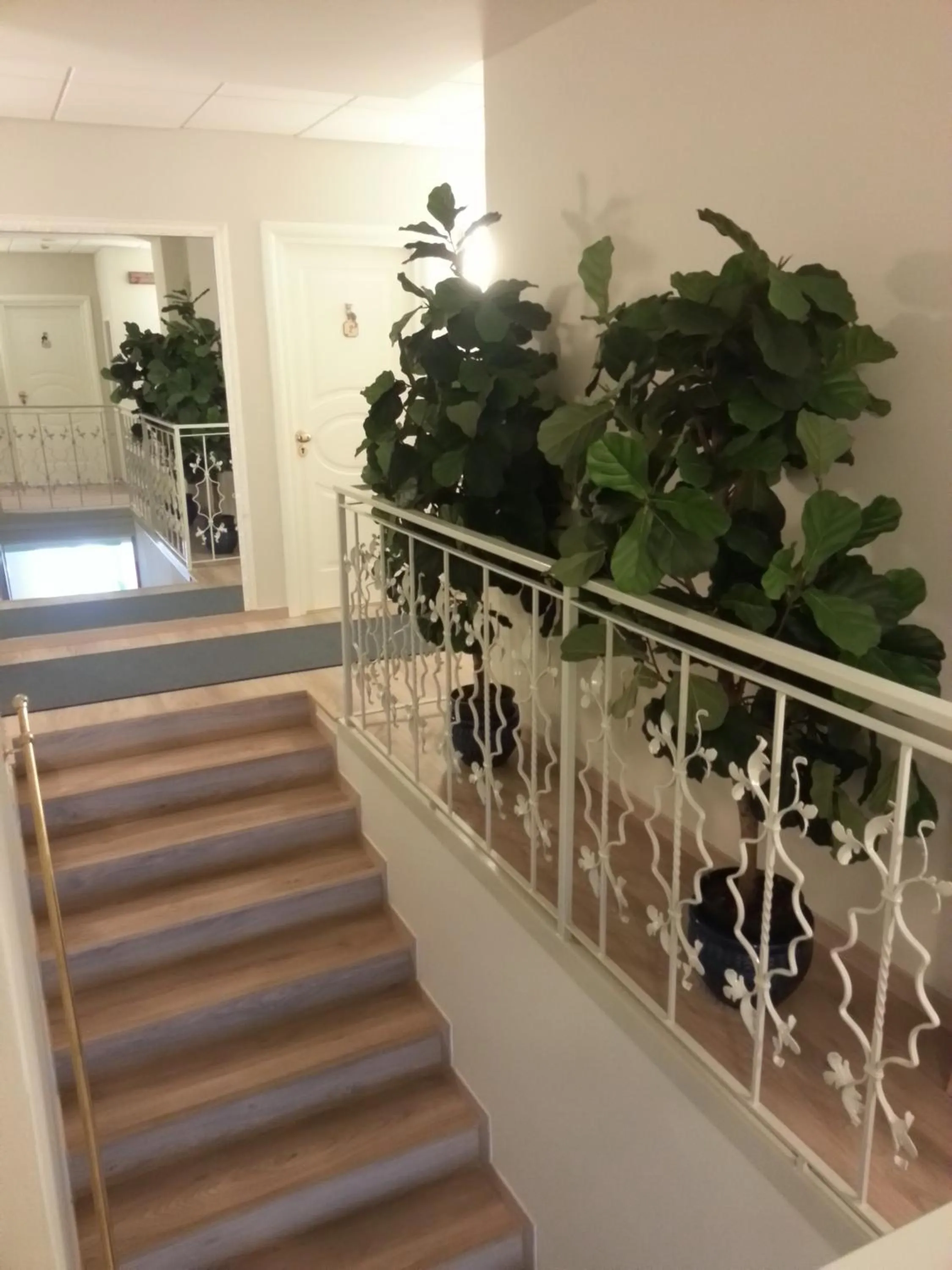 Food close-up in Hotel Il Gatto