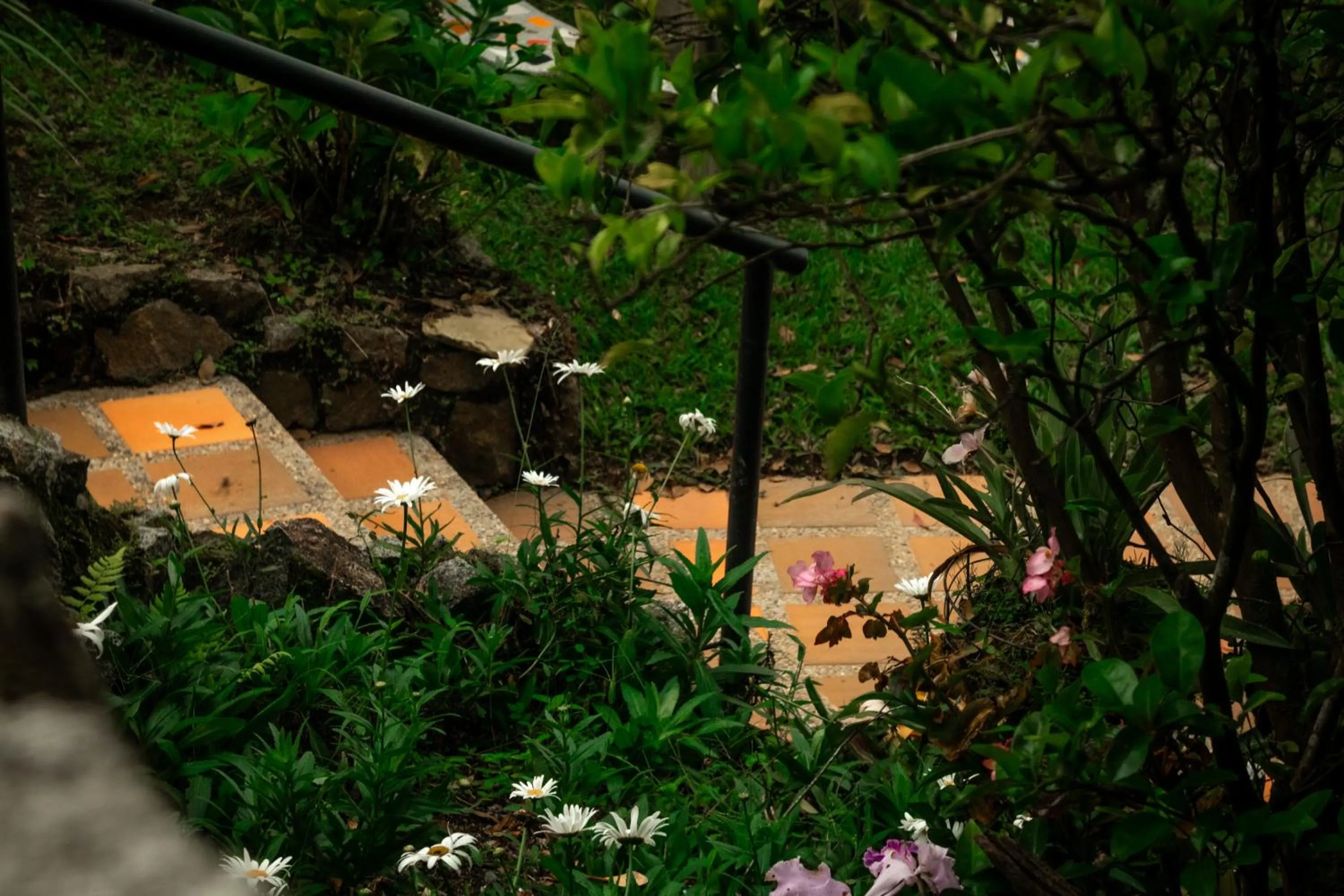 Serendipity Hospedaje Boutique