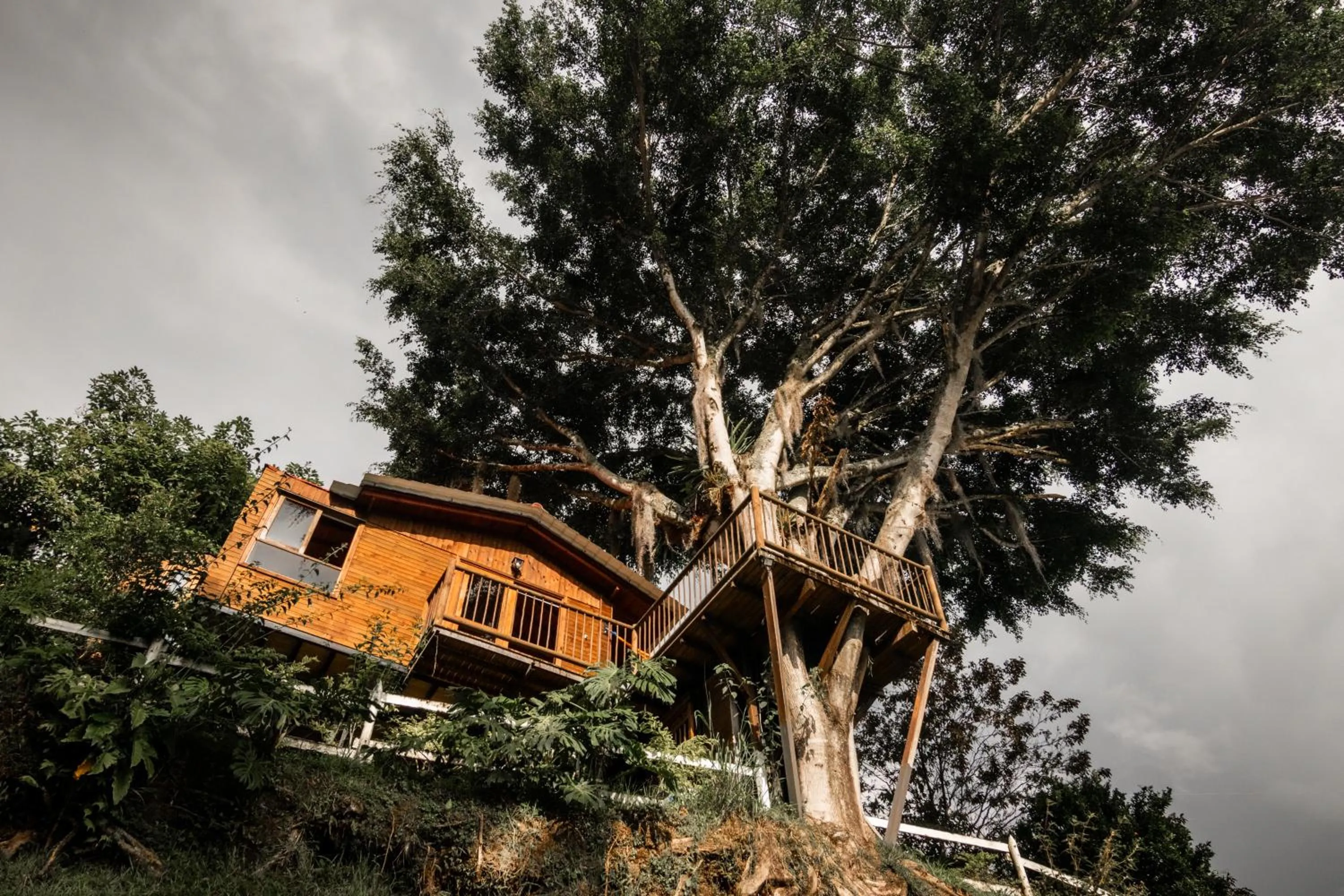 Serendipity Hospedaje Boutique