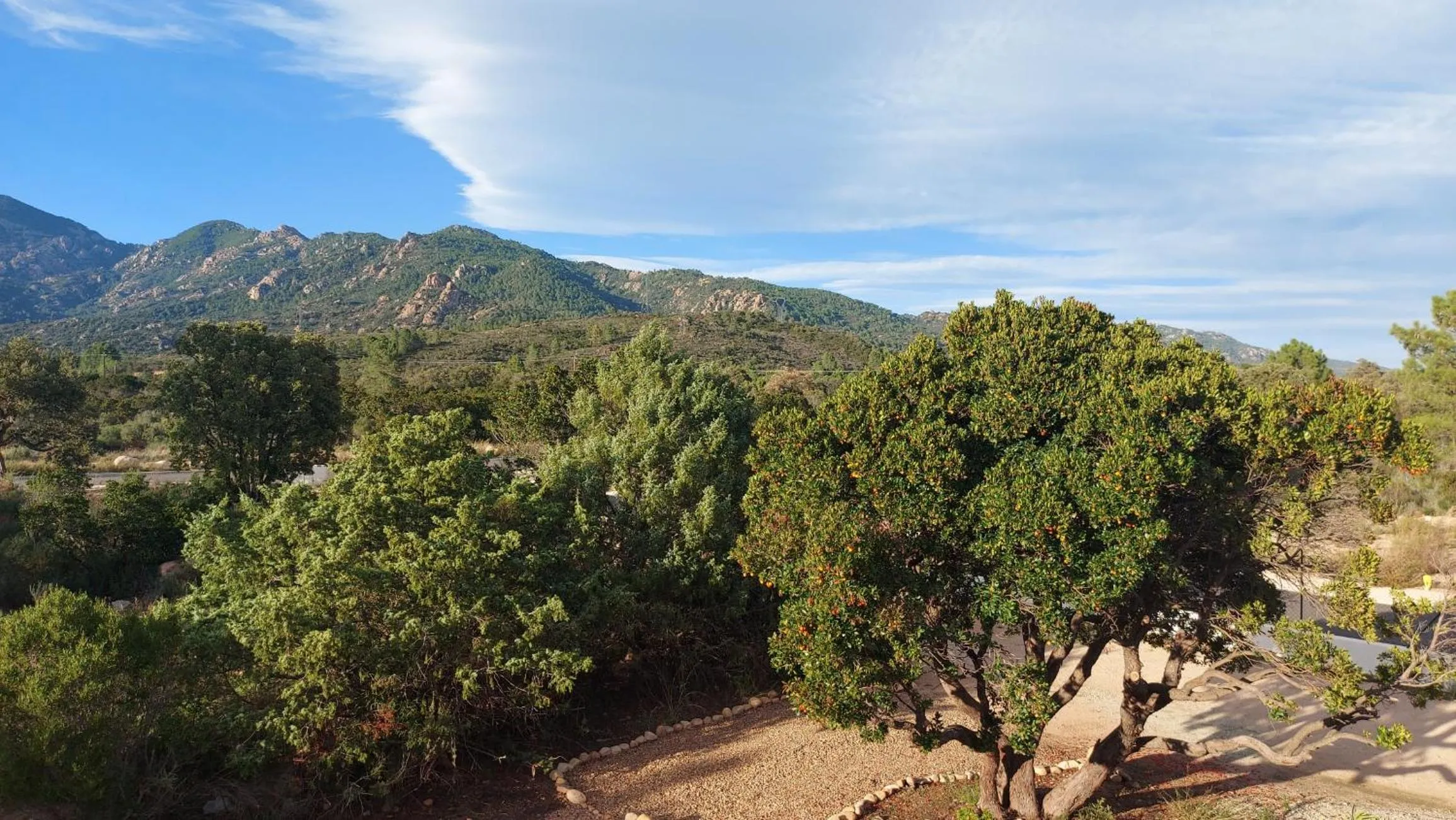 Natural landscape in Residence Riviera