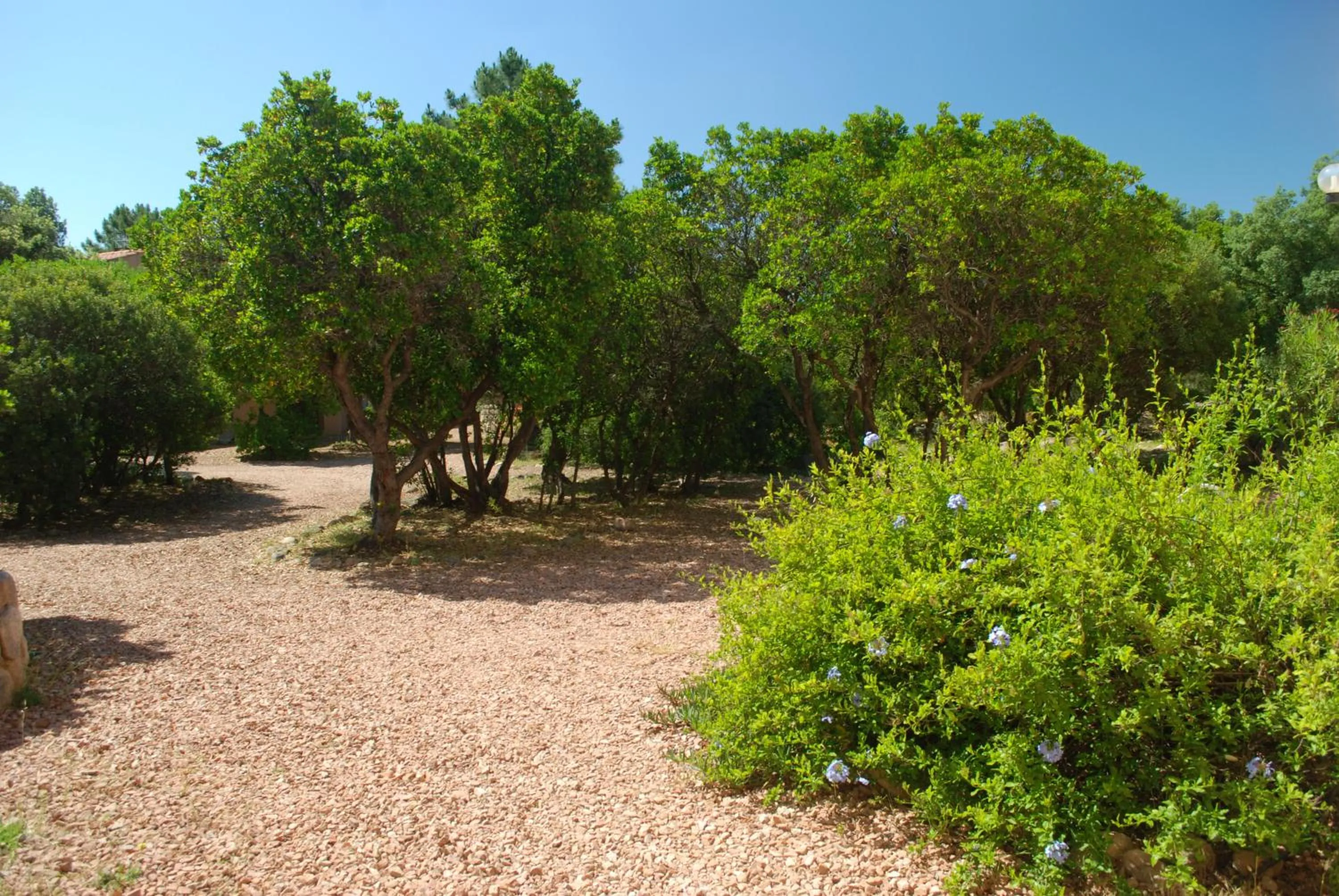 Garden in Residence Riviera