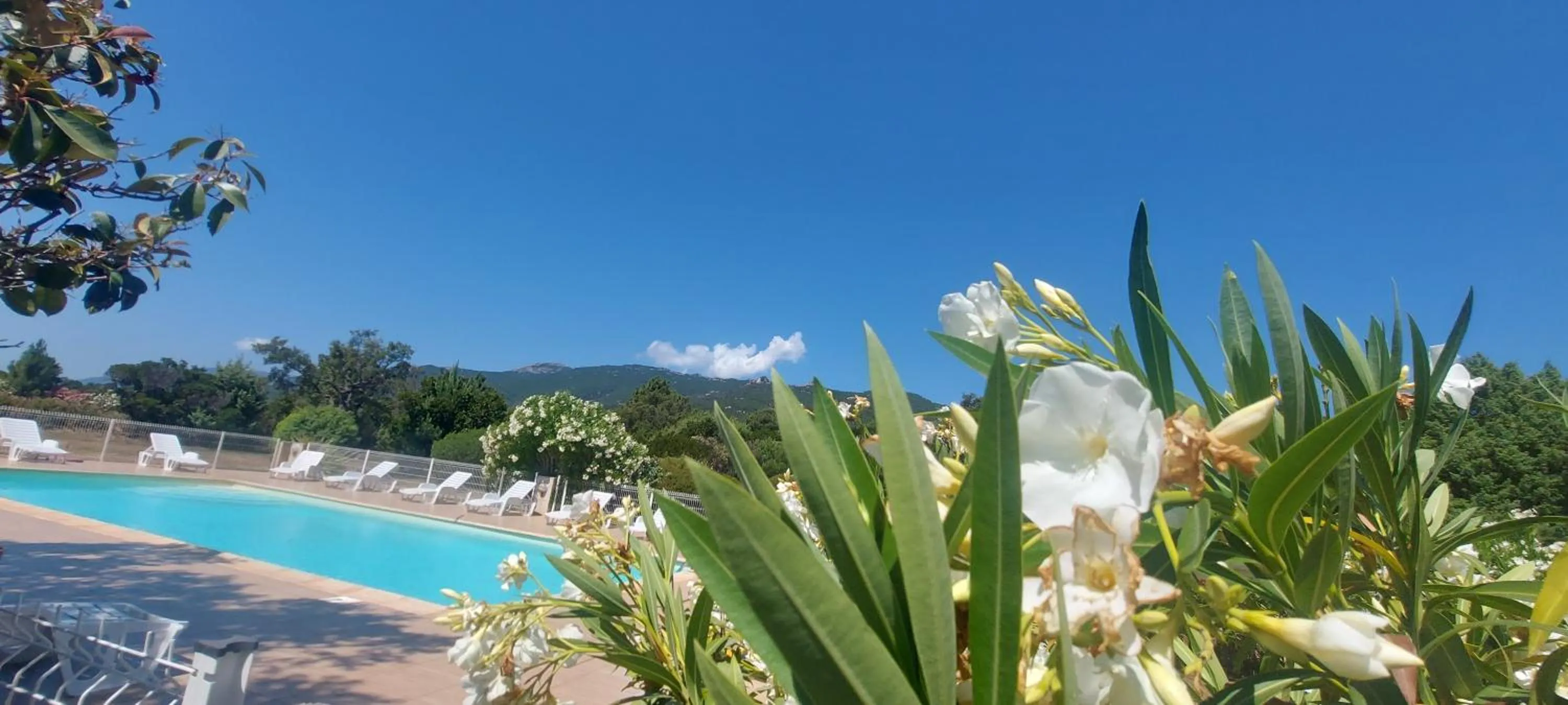 Swimming pool in Residence Riviera