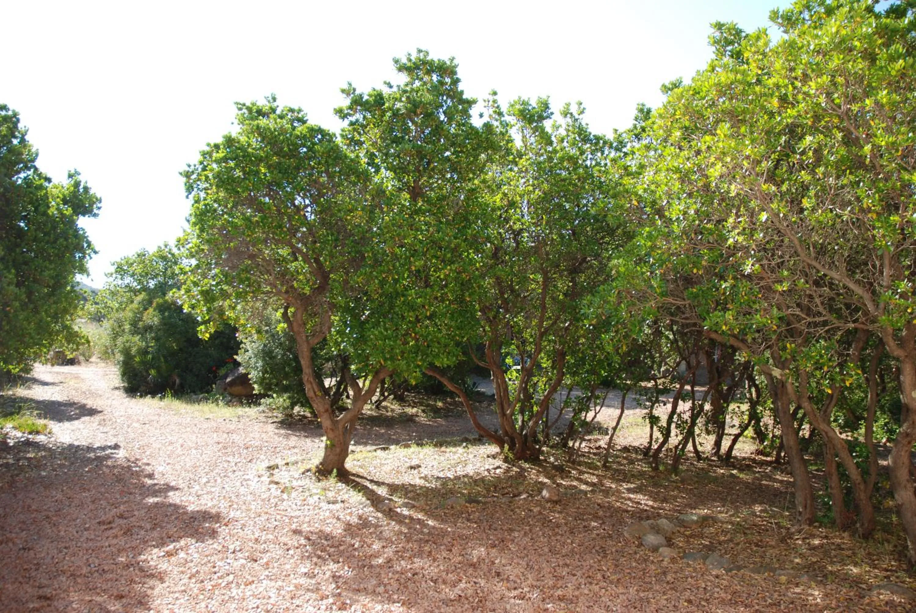 Natural landscape in Residence Riviera