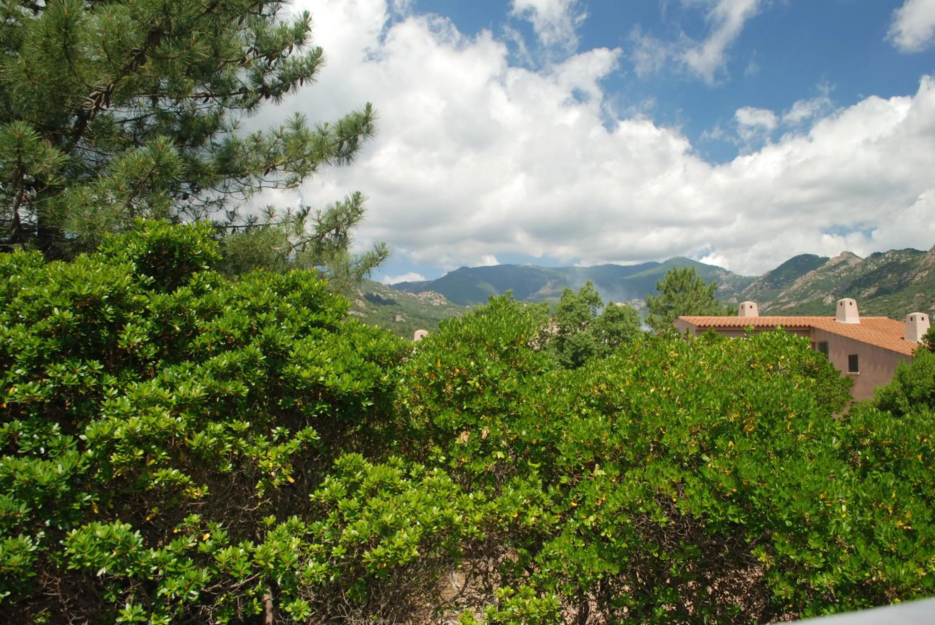 Natural landscape in Residence Riviera