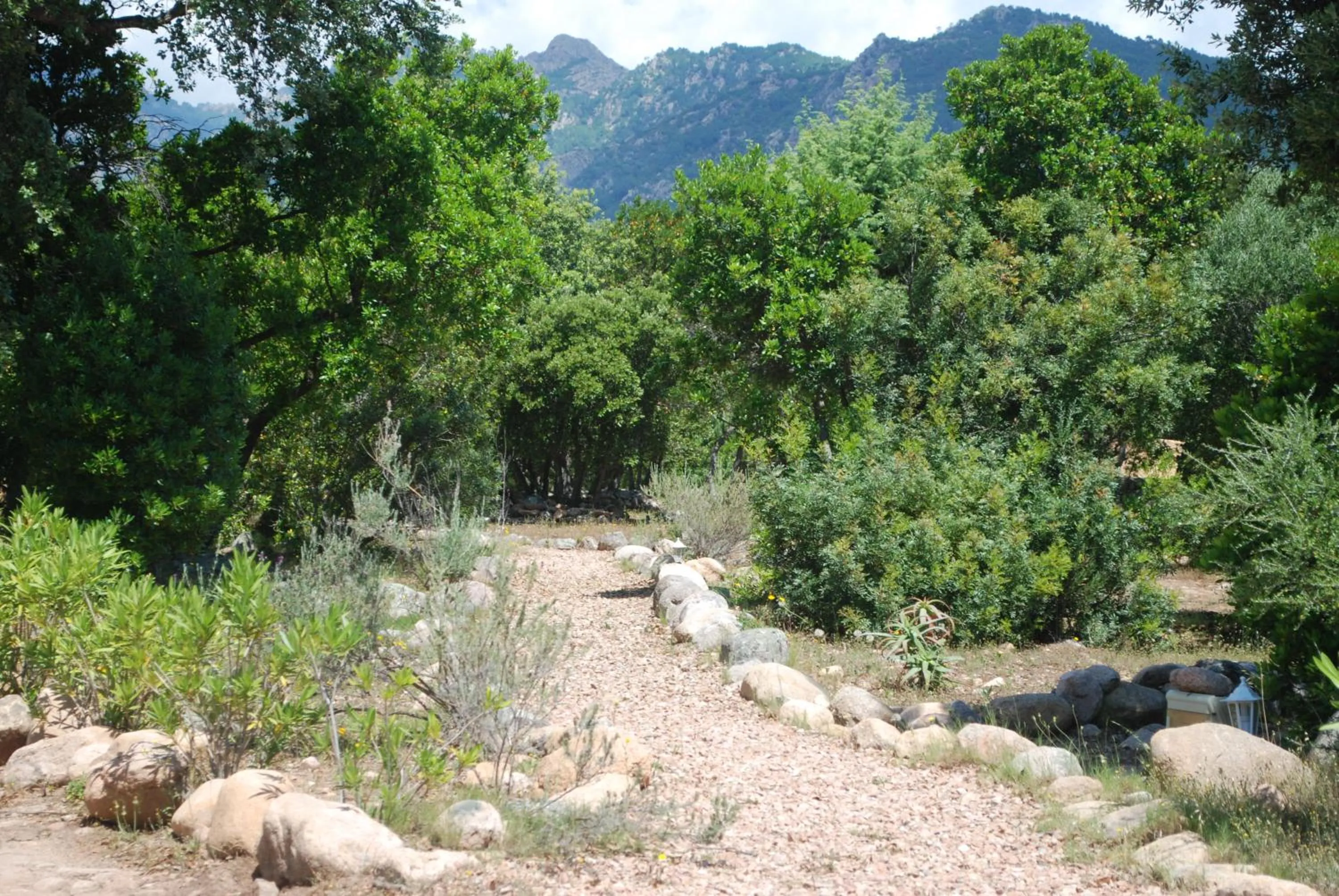 View (from property/room) in Residence Riviera