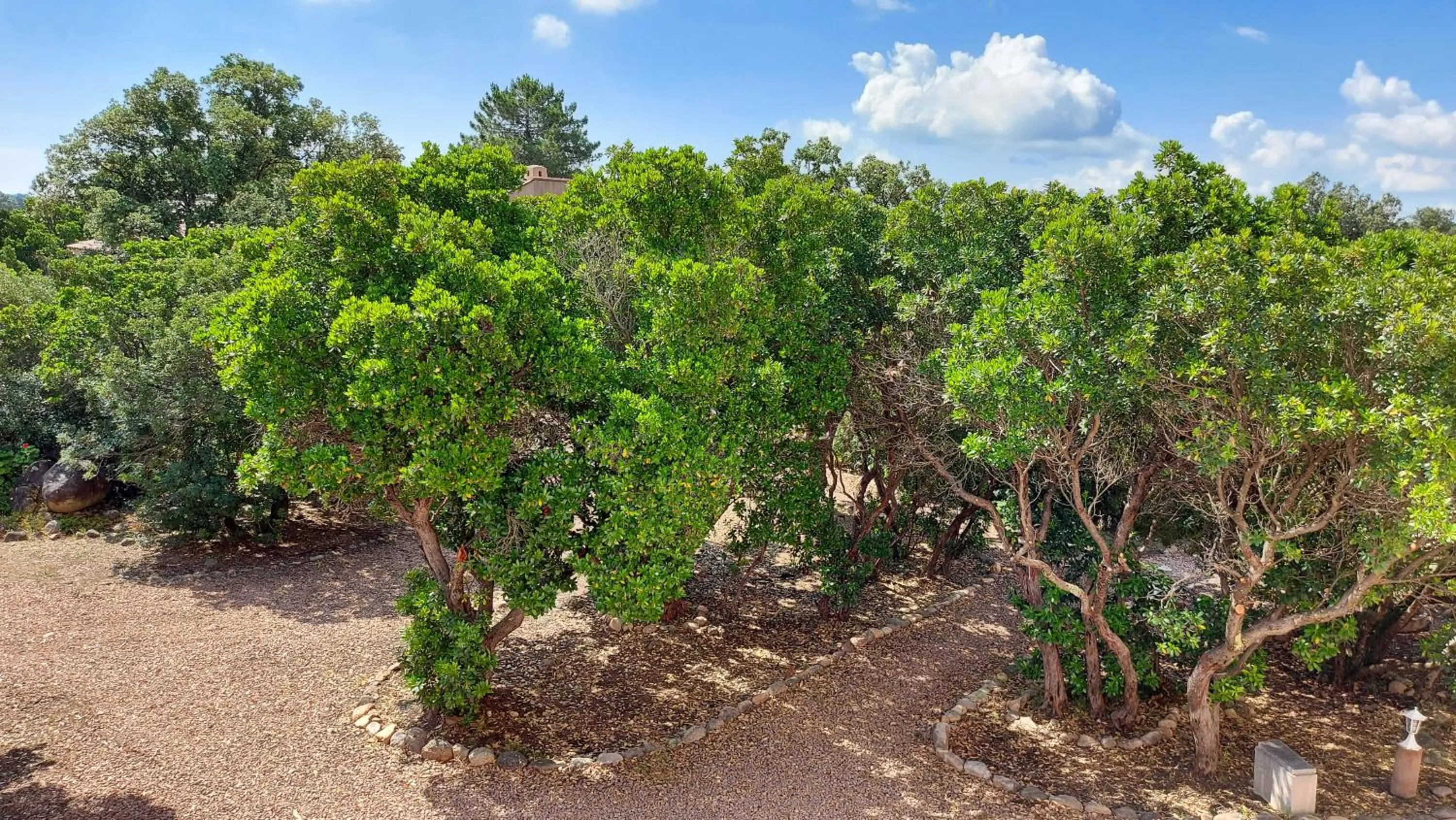 Garden view in Residence Riviera