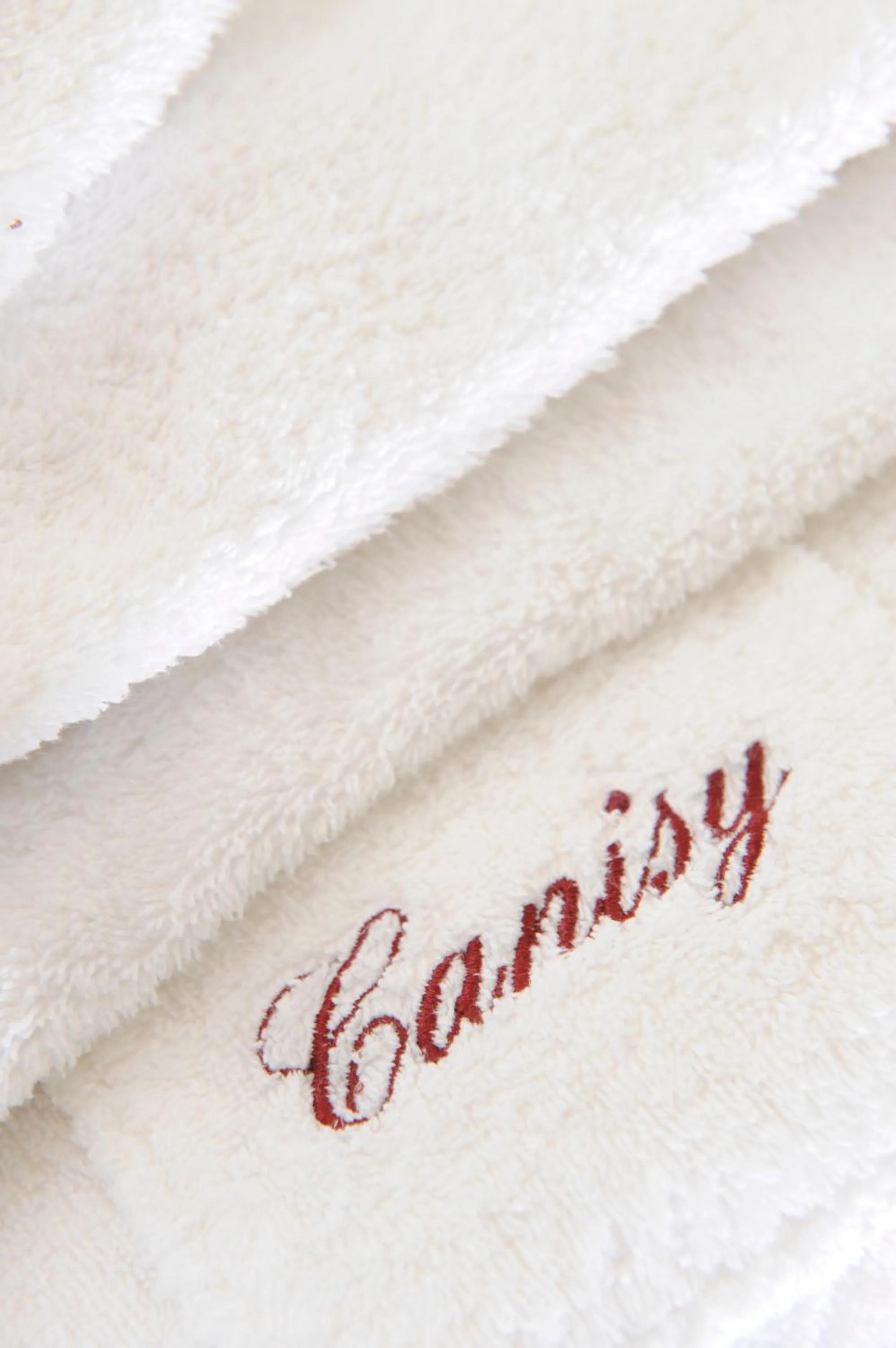 Decorative detail in Chateau de Canisy