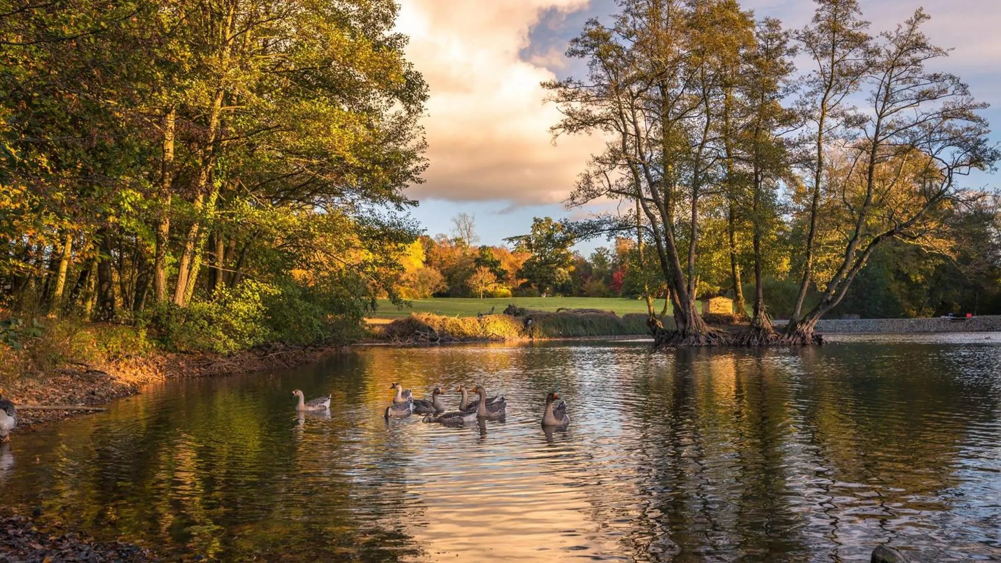 Animals in Chateau de Canisy