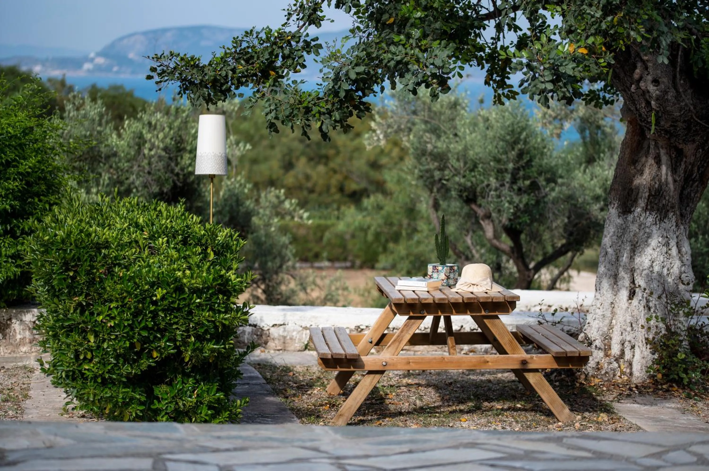 Garden in Galaxy Hotel