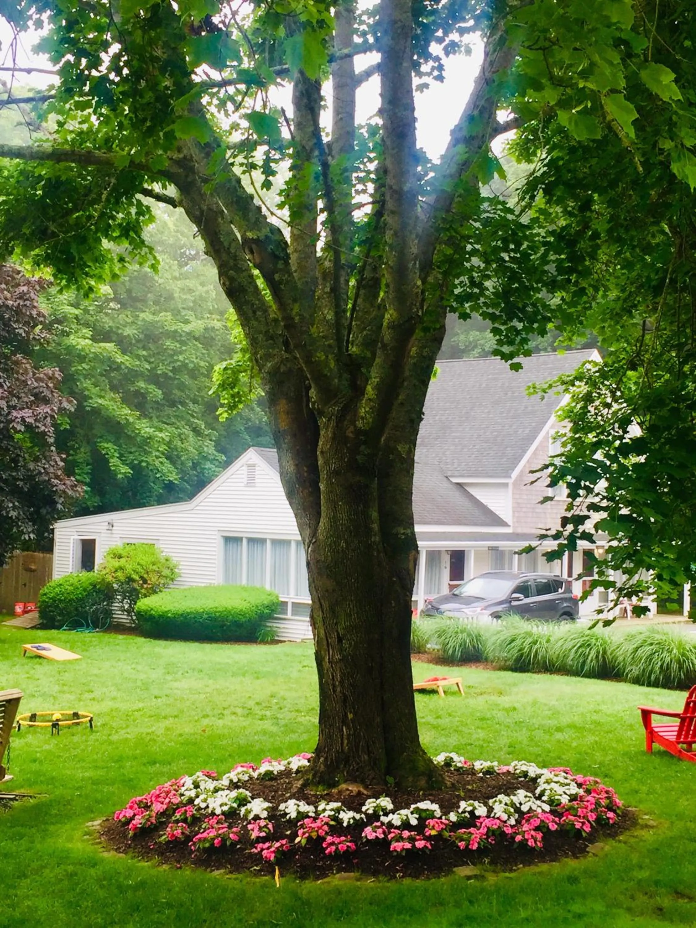 Garden in Sesuit Harbor House